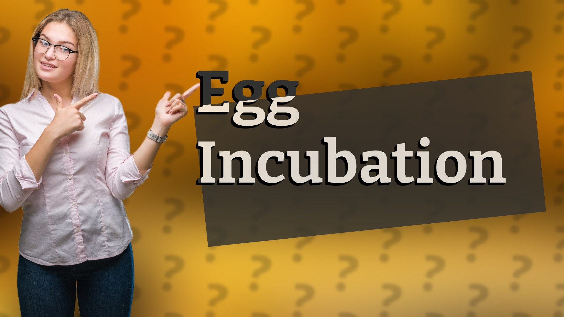 Egg Incubation