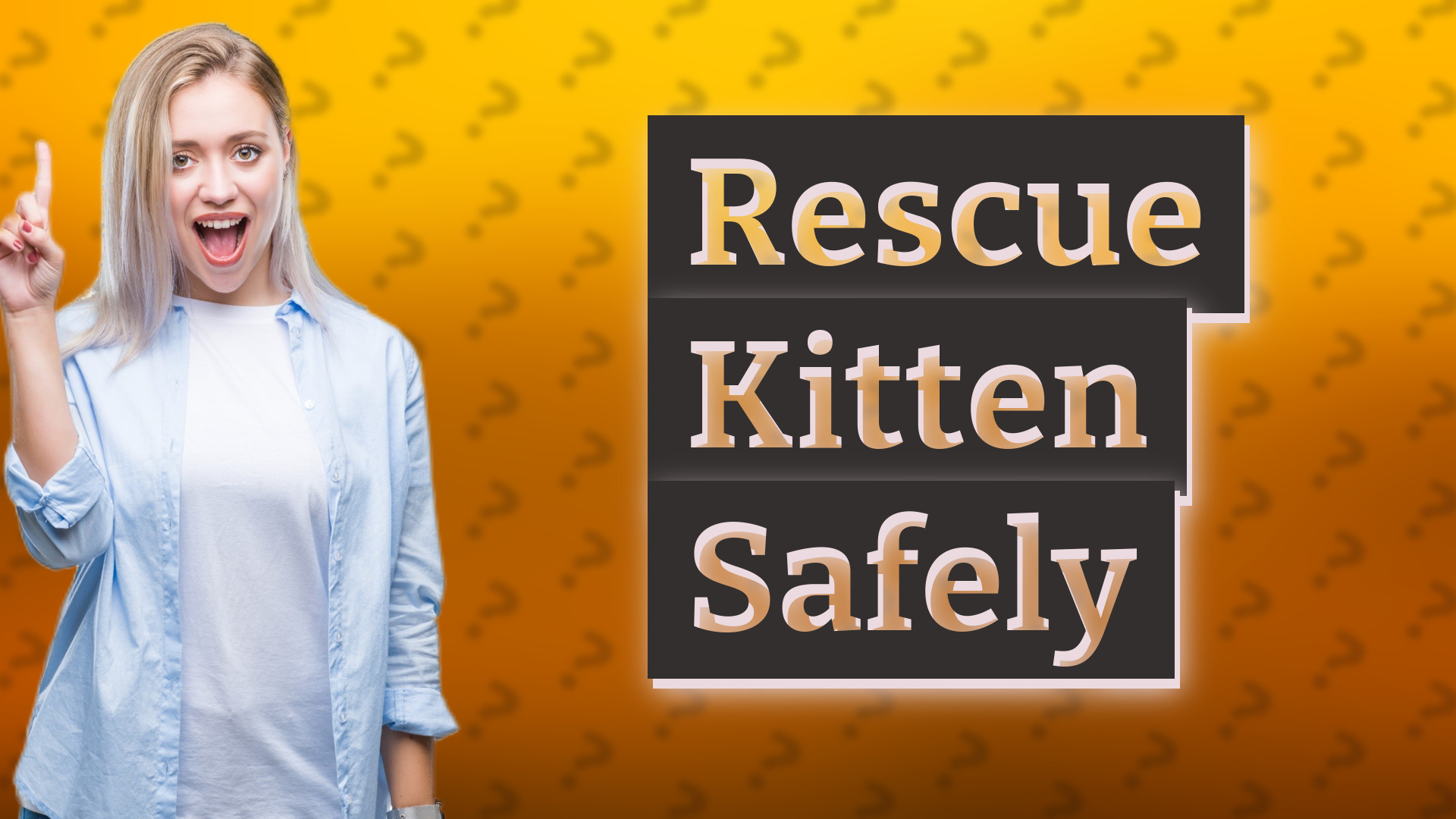 Rescue Kitten Safely