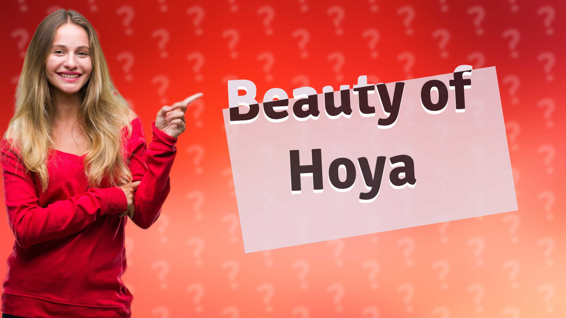 Beauty of Hoya