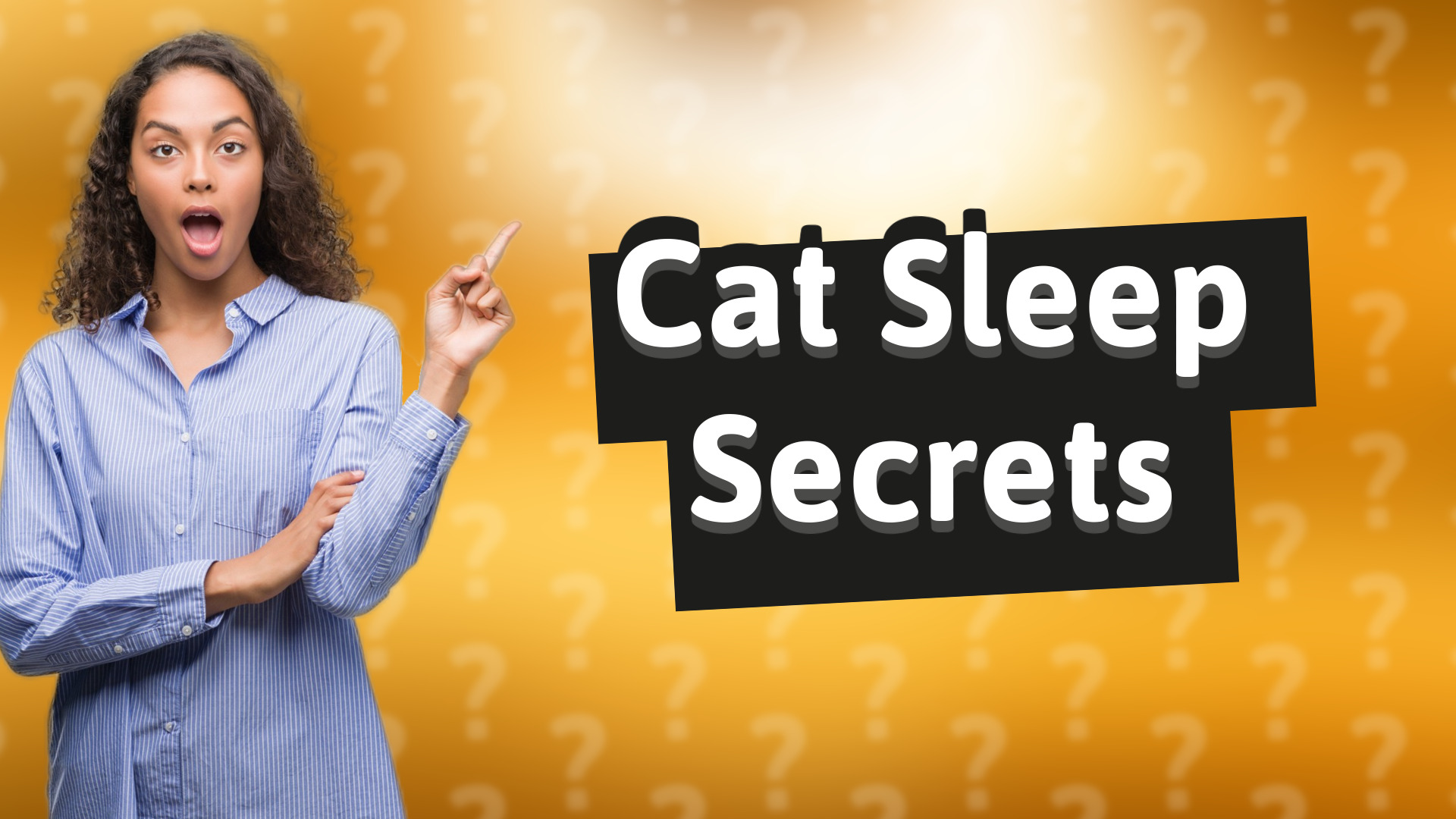 Cat Sleep Secrets