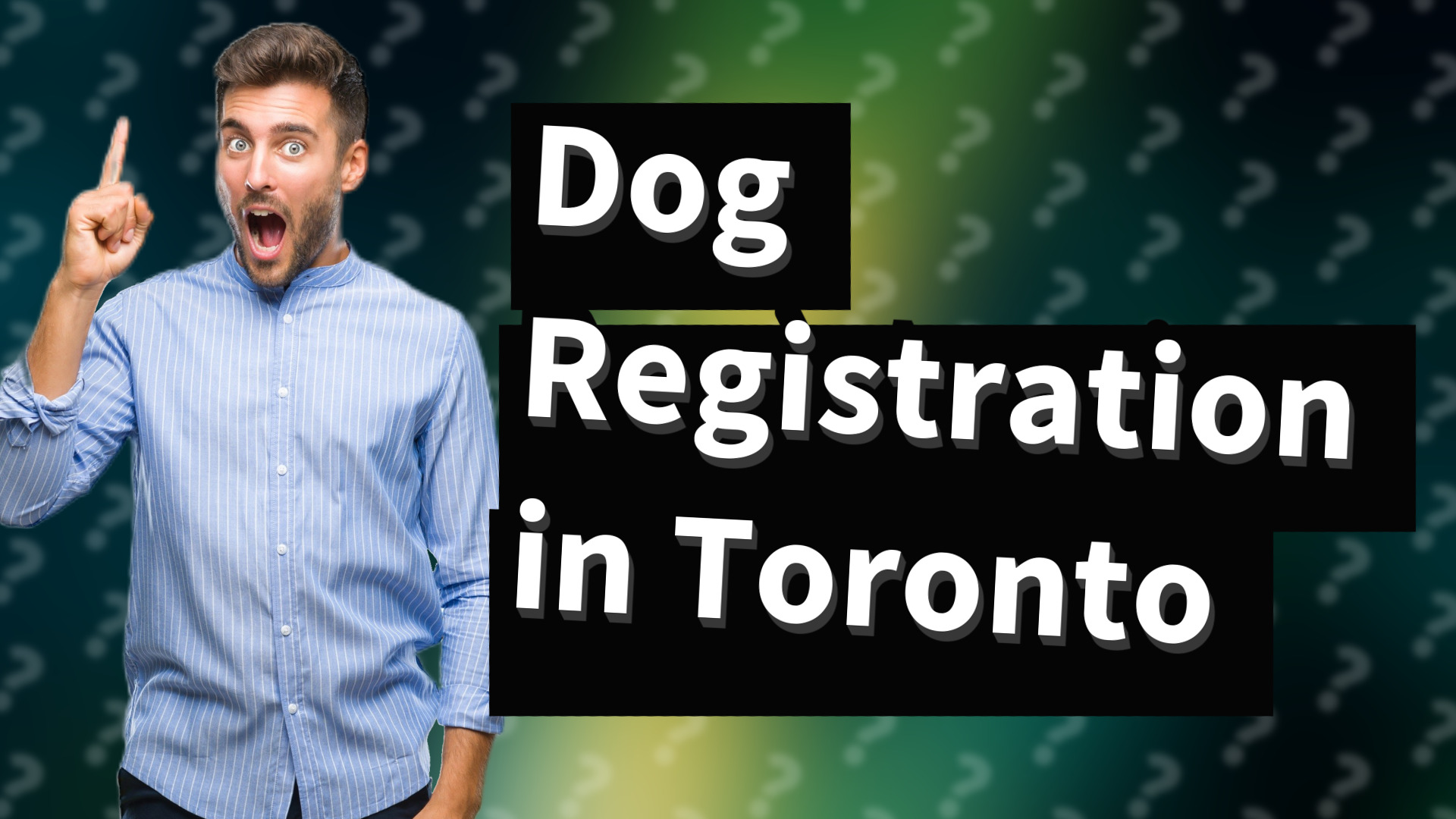 Dog Registration in Toronto