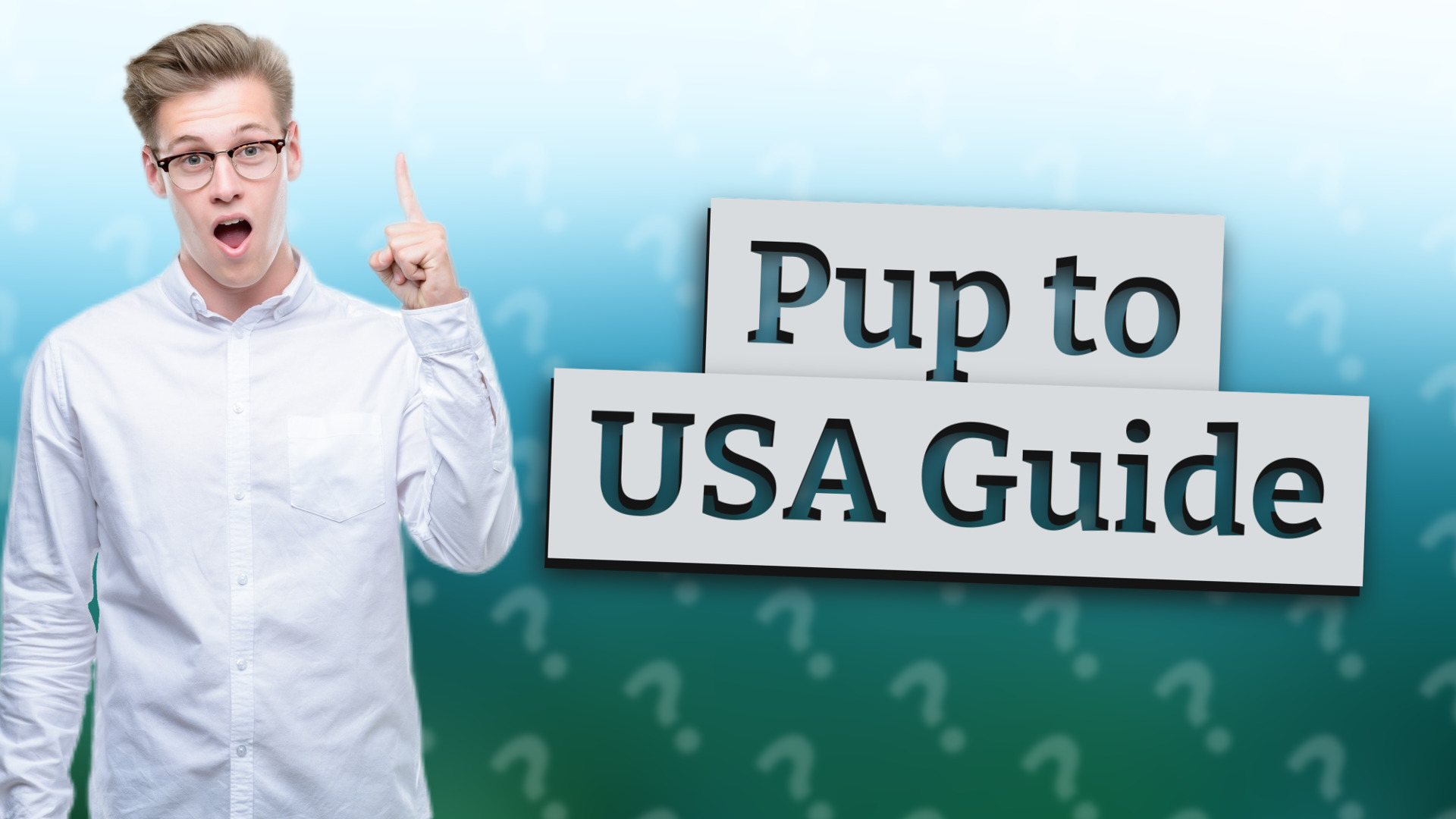 Pup to USA Guide