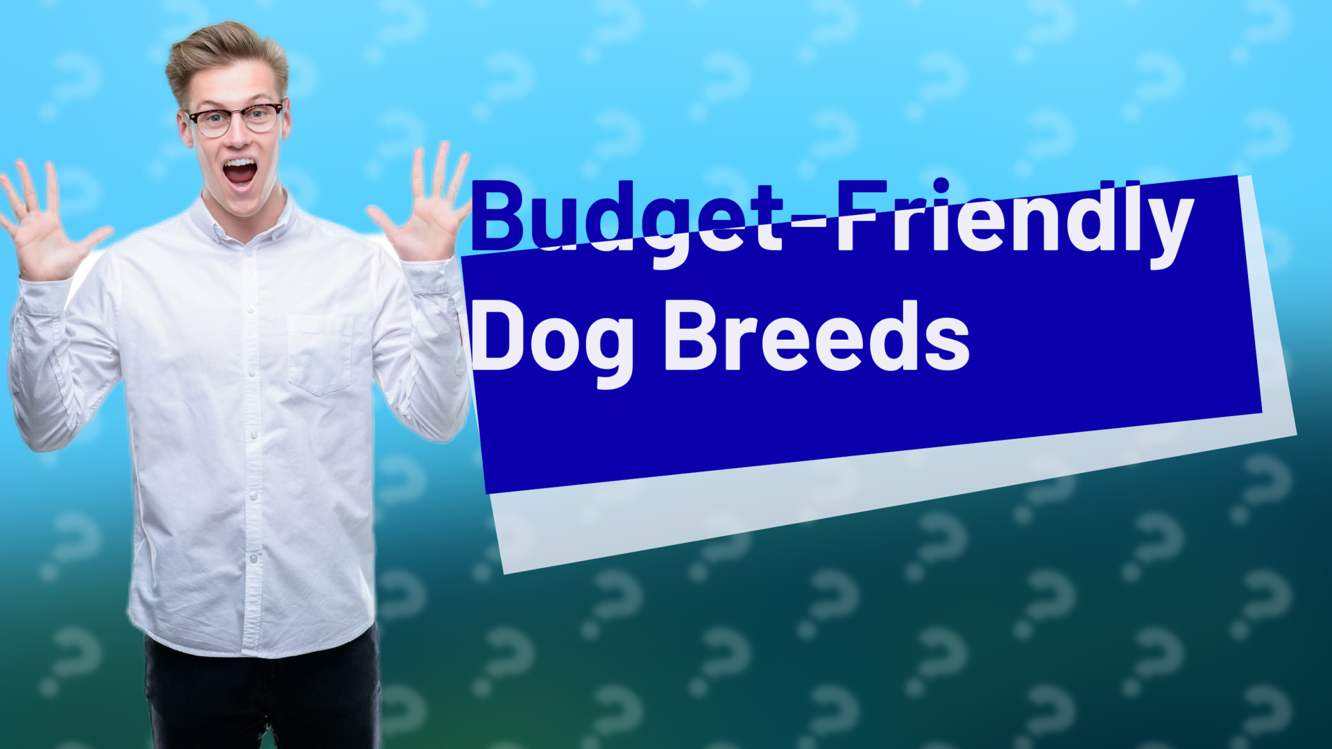 Budget-Friendly Dog Breeds