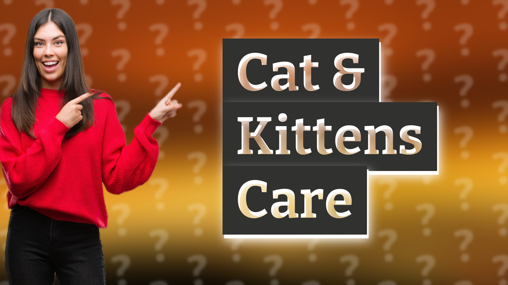 Cat & Kittens Care