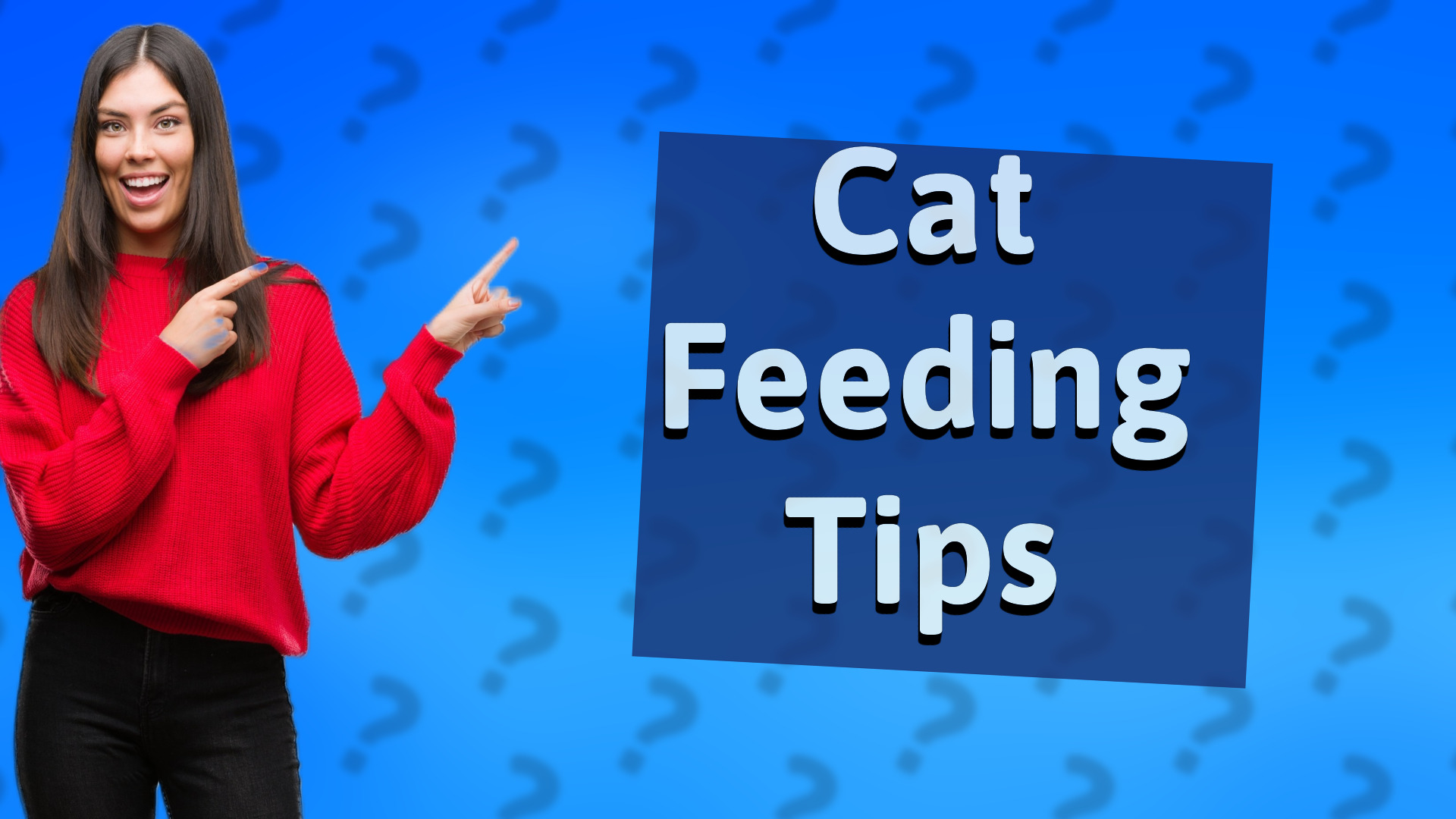 Cat Feeding Tips