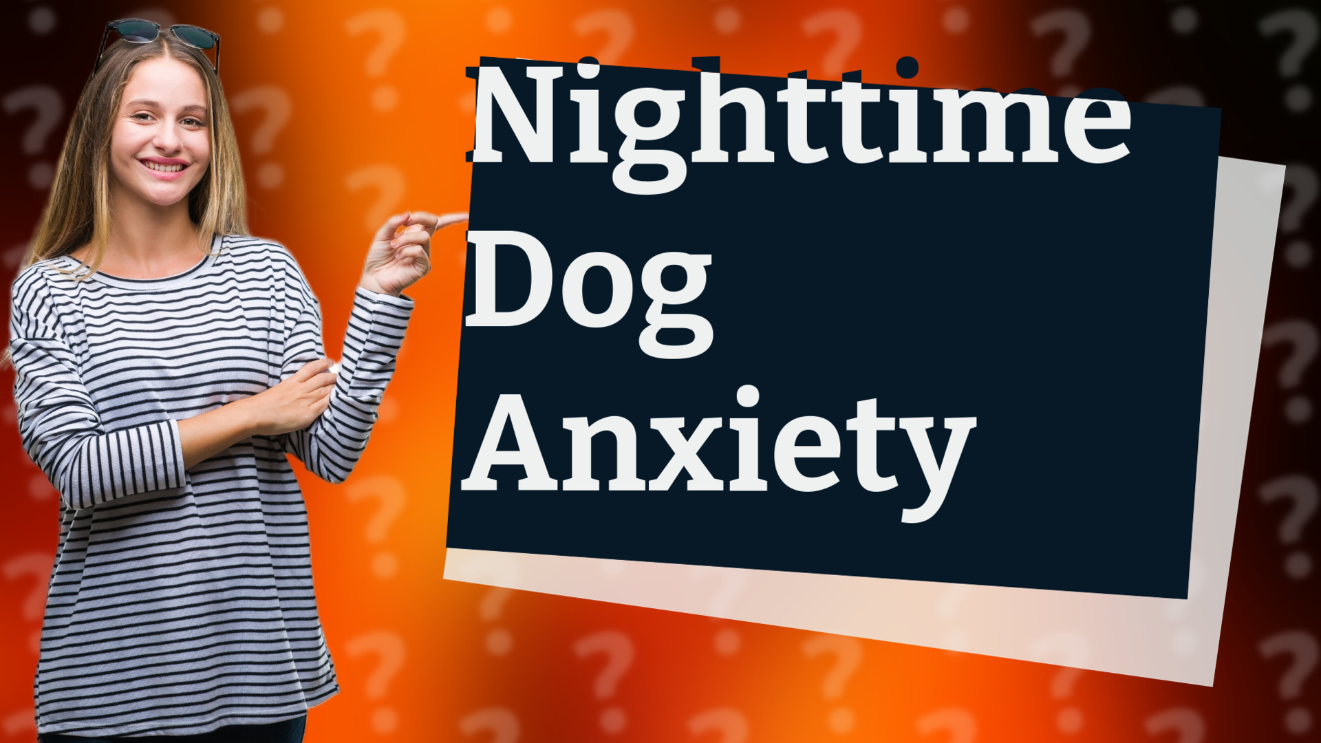Nighttime Dog Anxiety