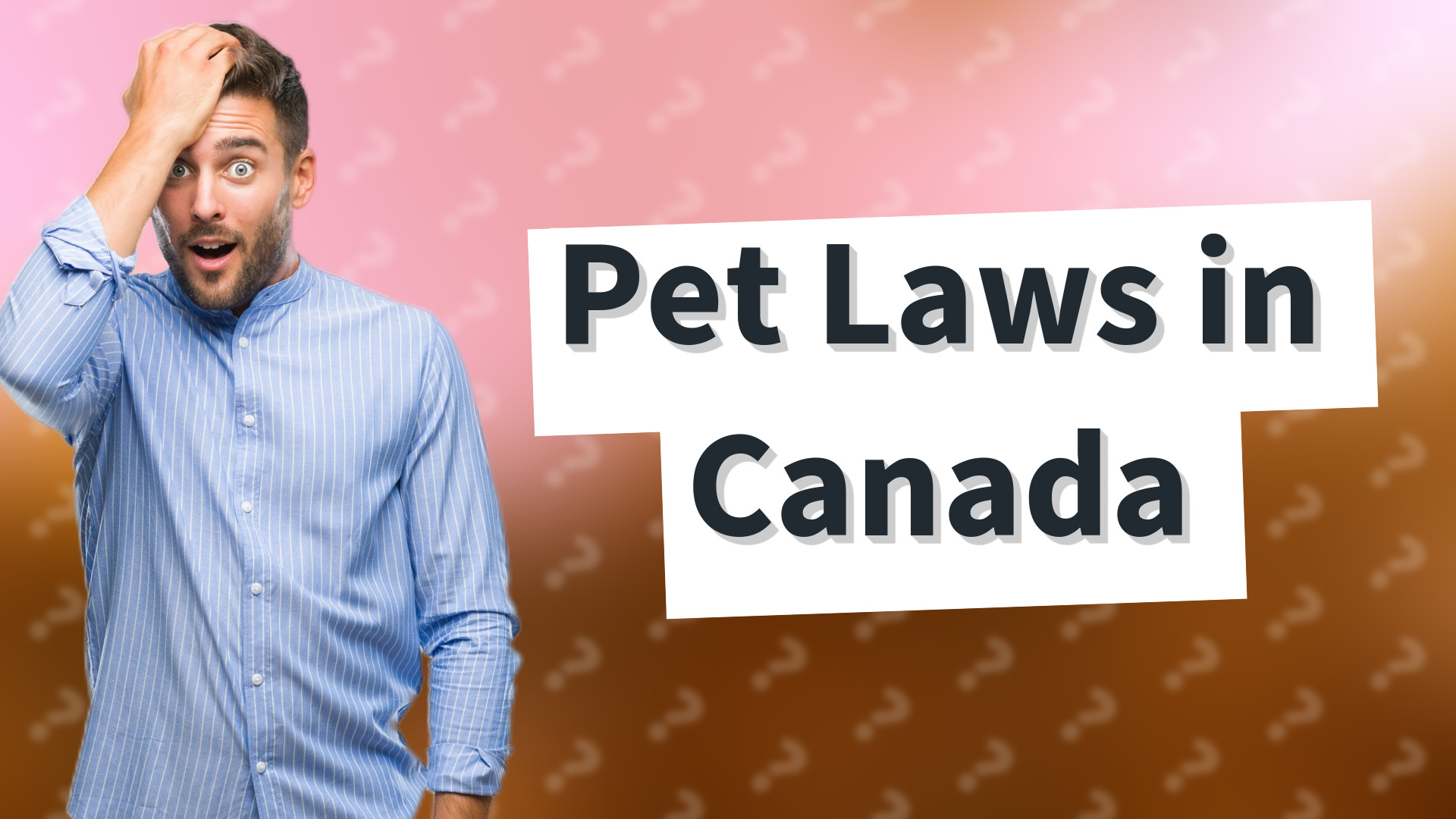 Pet Laws in Canada