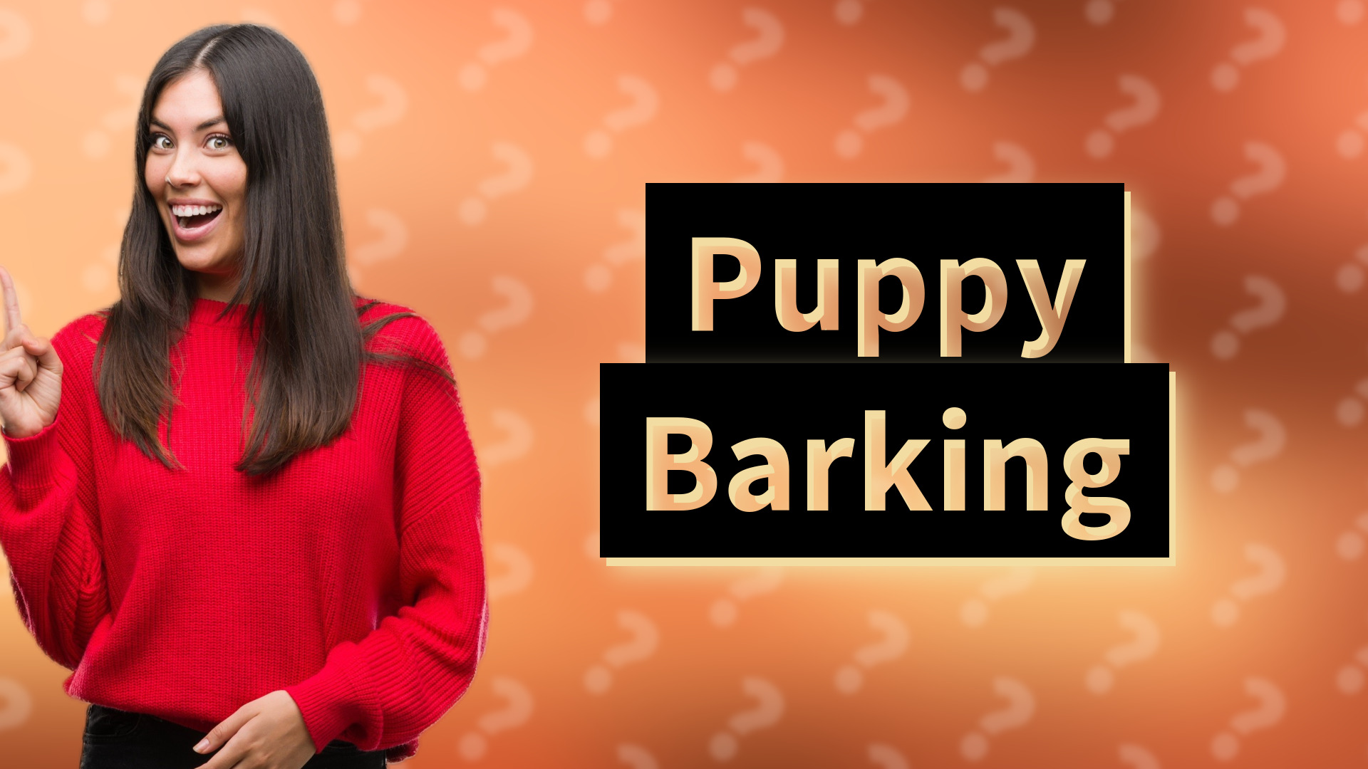 Puppy Barking