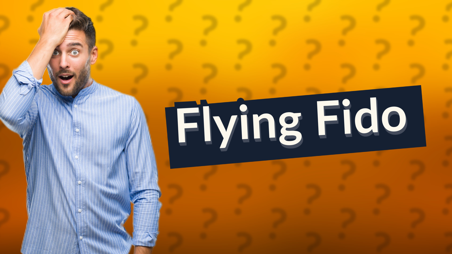 Flying Fido