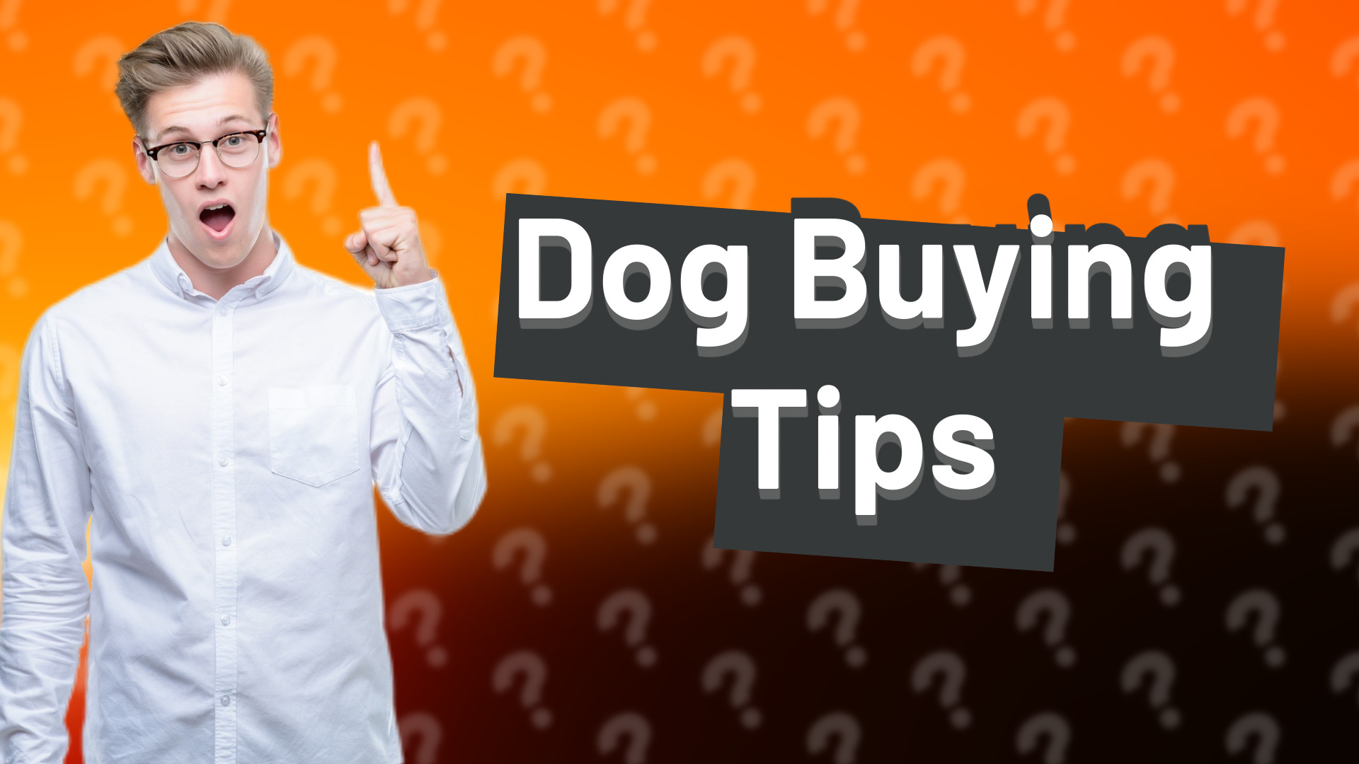 Dog Buying Tips