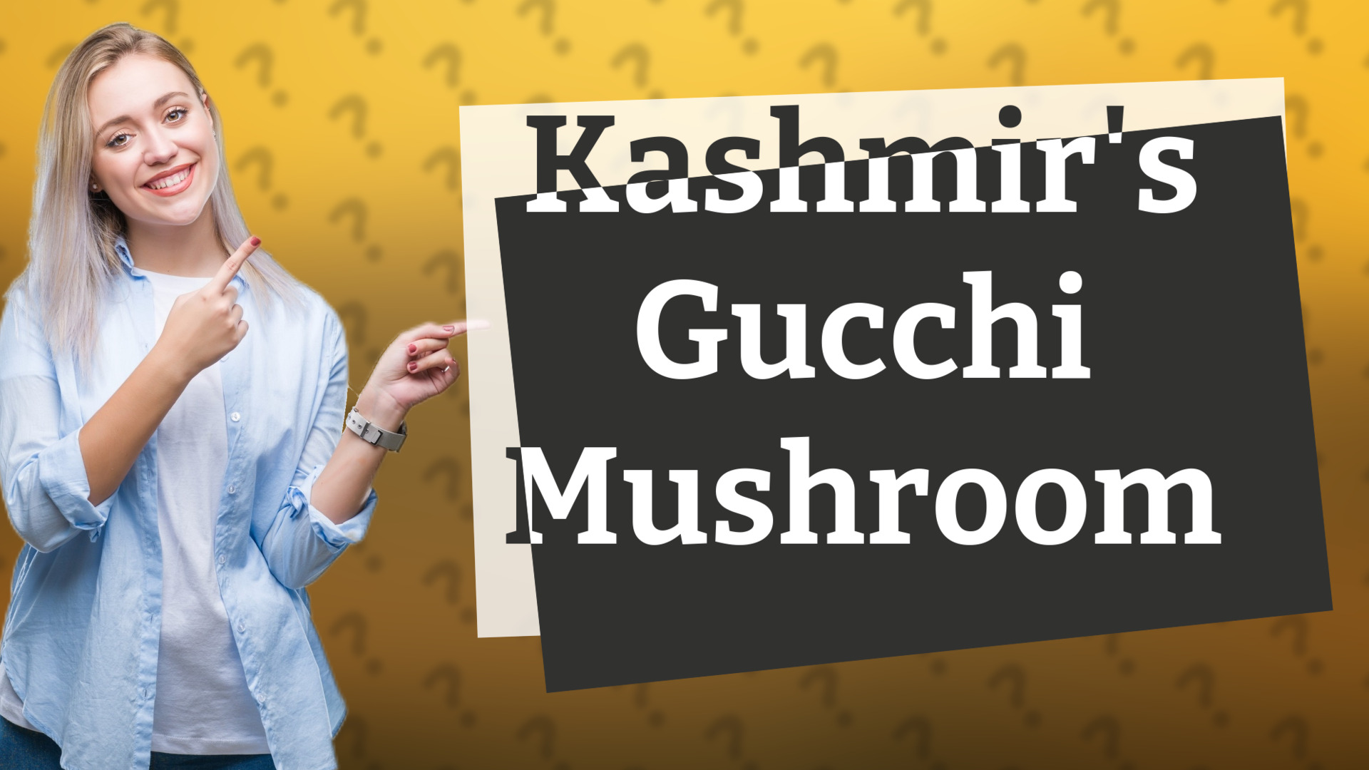 Kashmir's Gucchi Mushroom