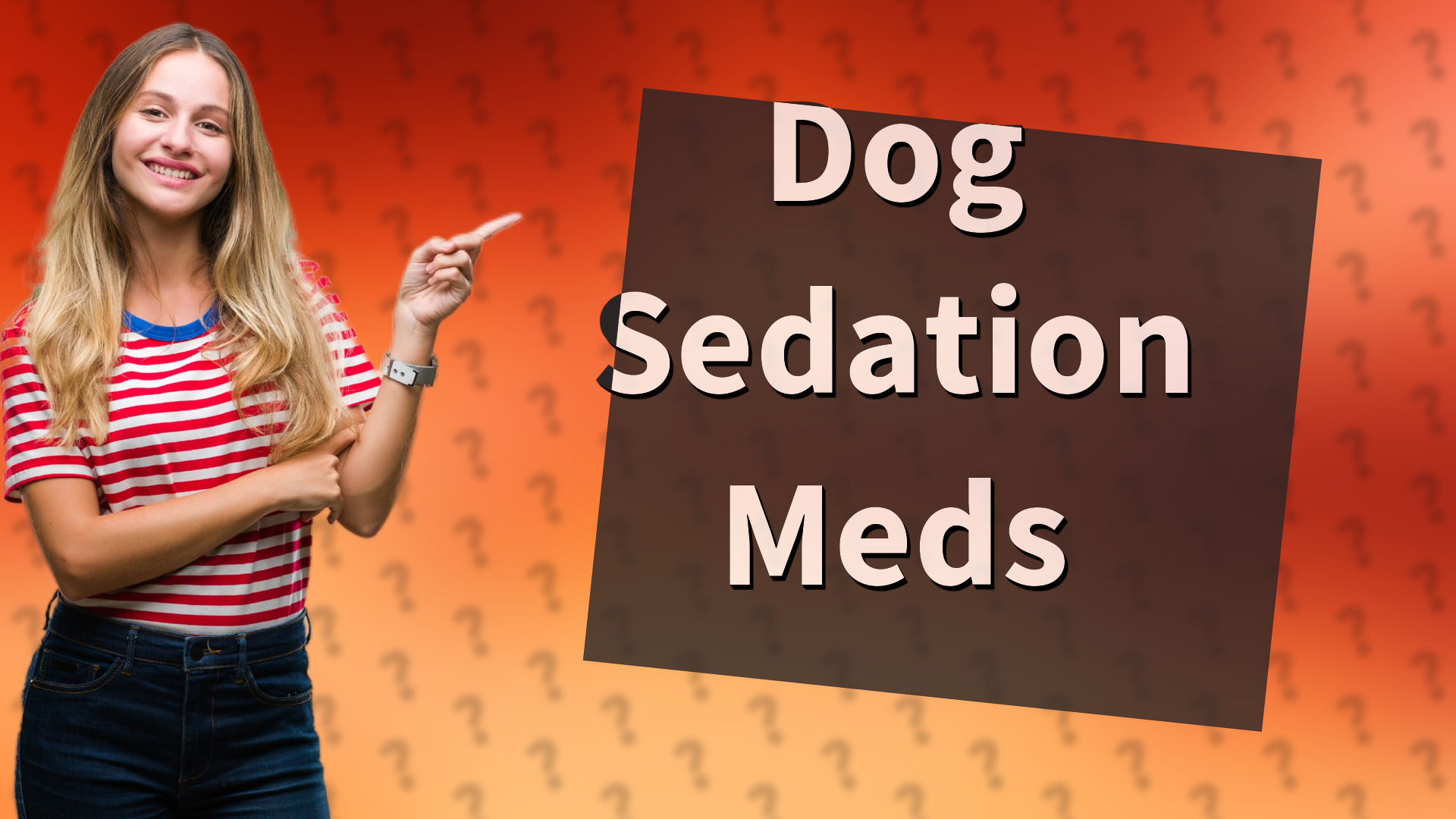 Dog Sedation Meds