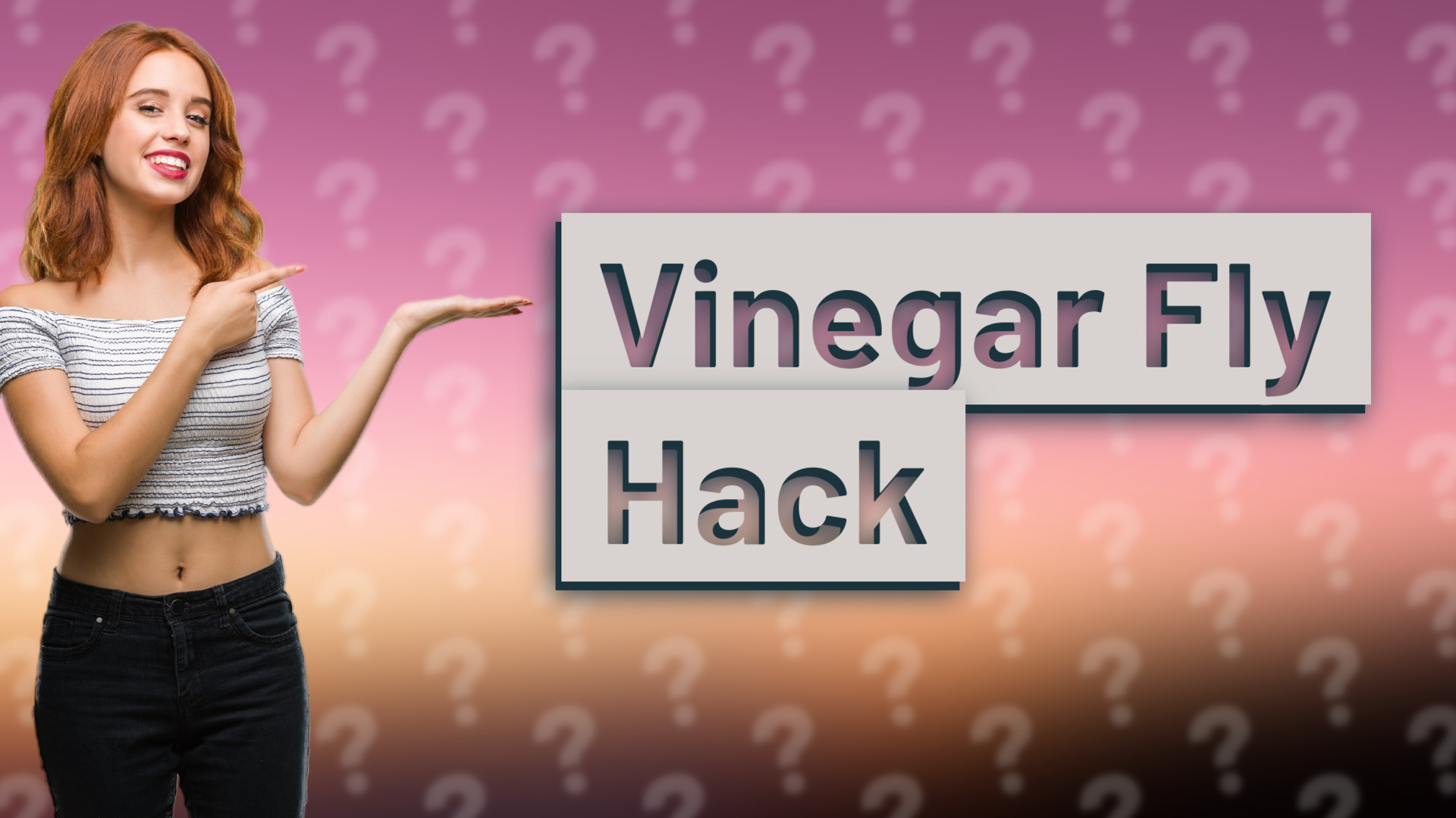 Vinegar Fly Hack