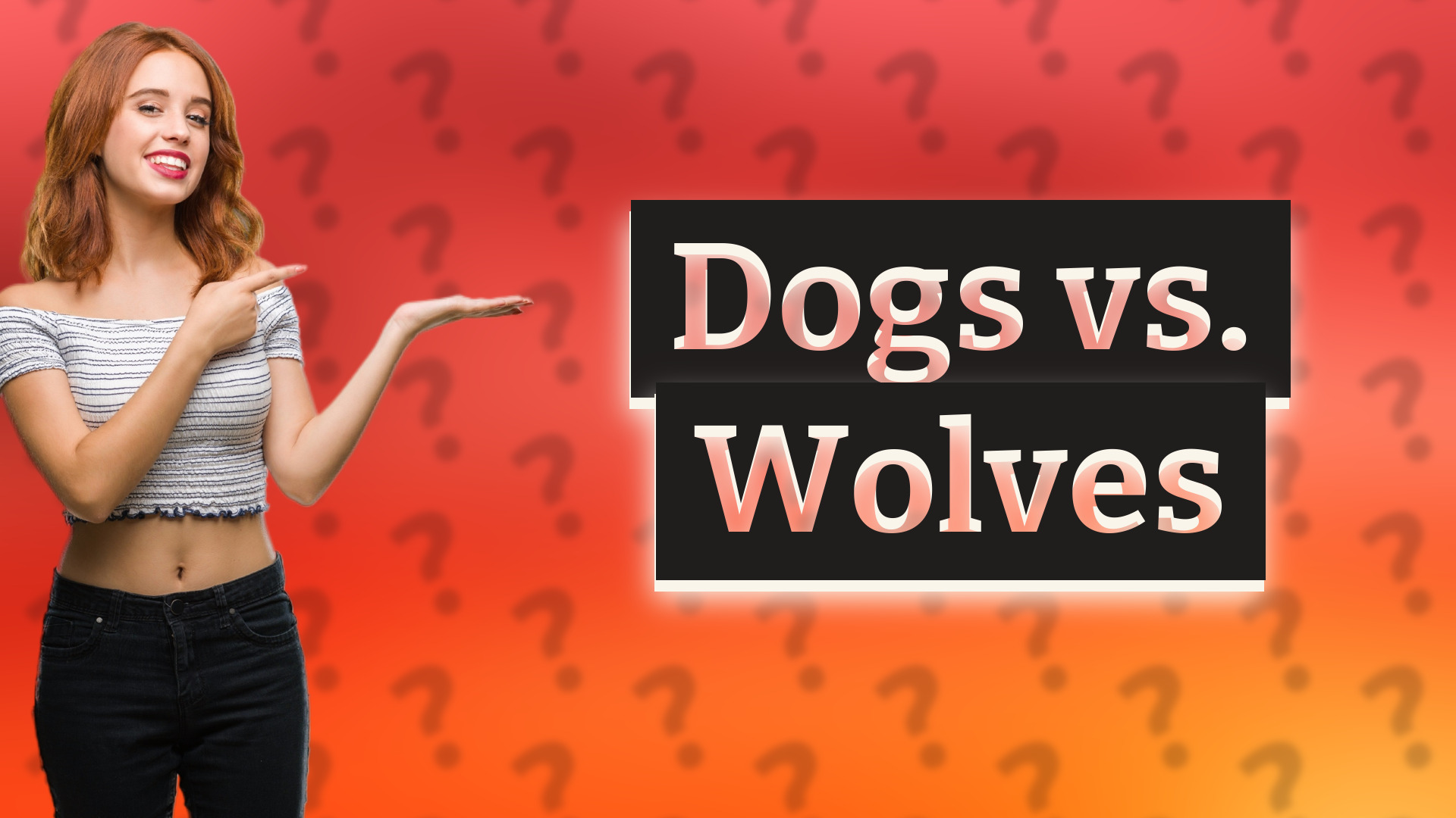 Dogs vs. Wolves