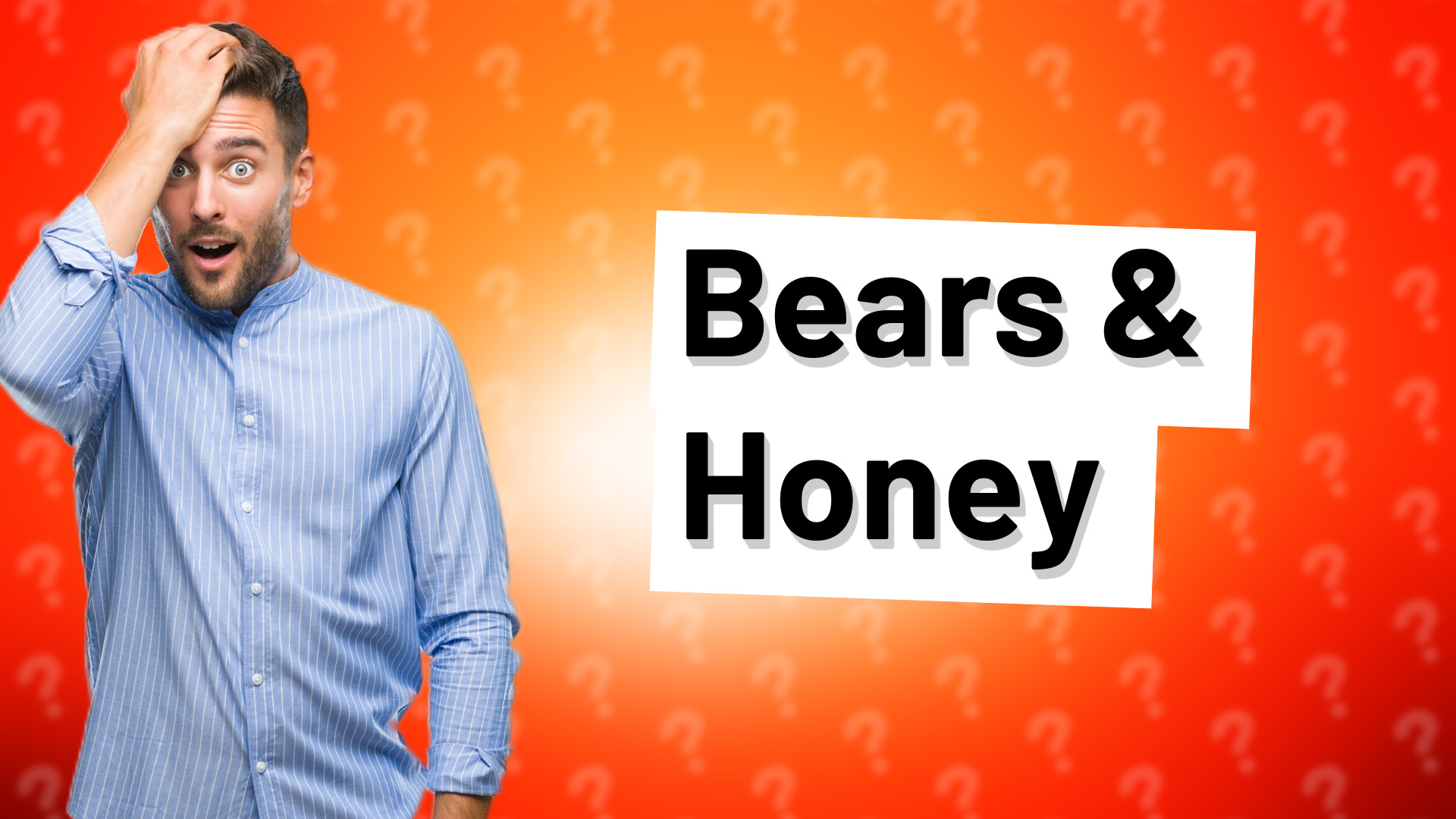 Bears & Honey