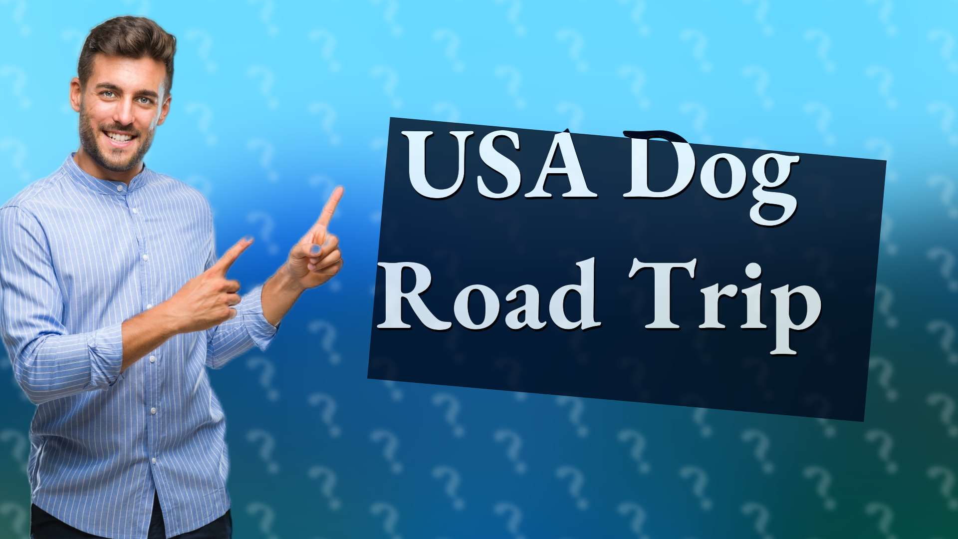 USA Dog Road Trip