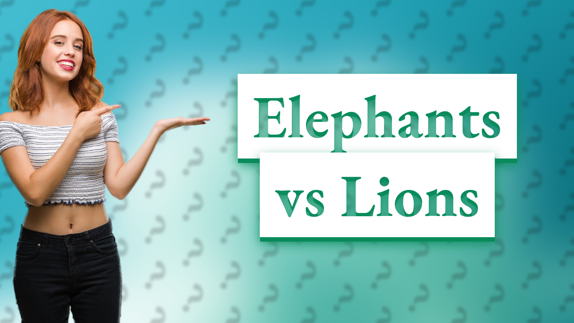 Elephants vs Lions