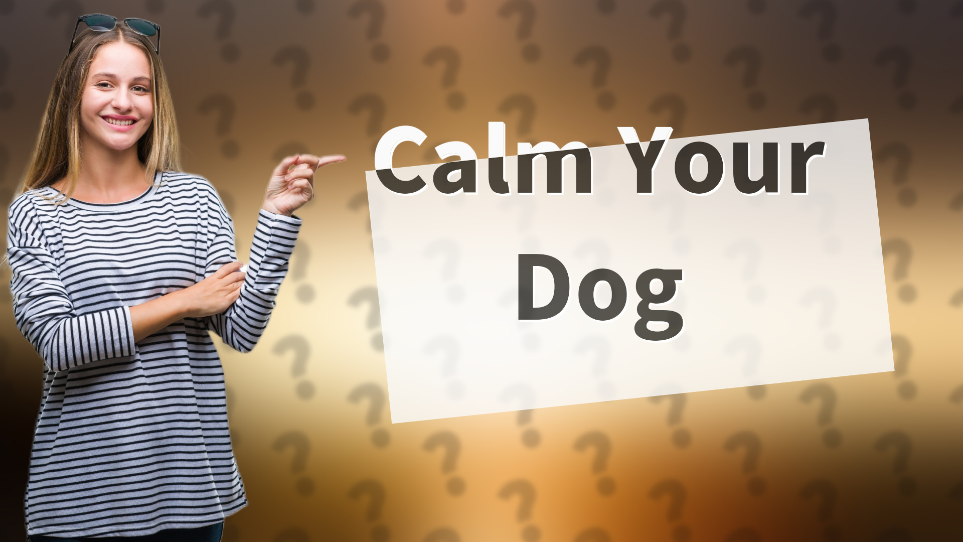Calm Your Dog