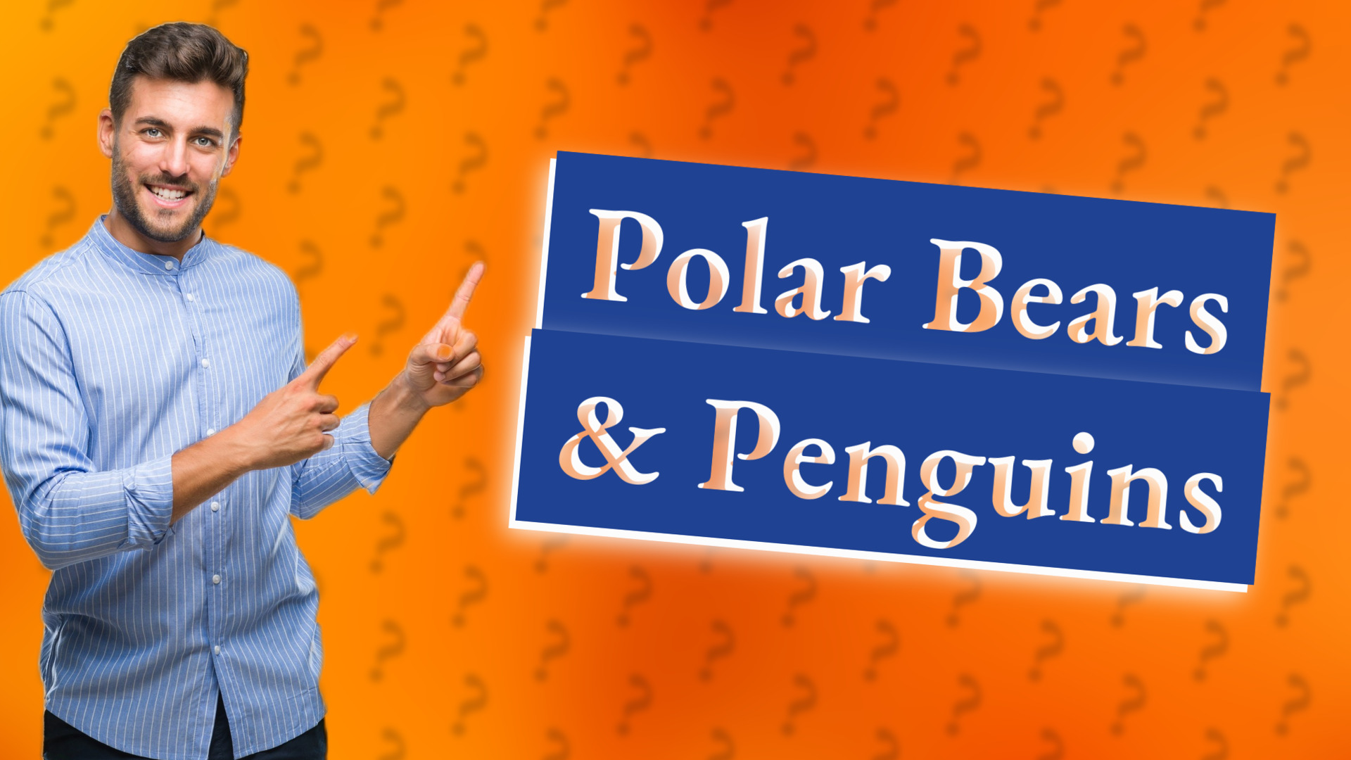 Polar Bears & Penguins