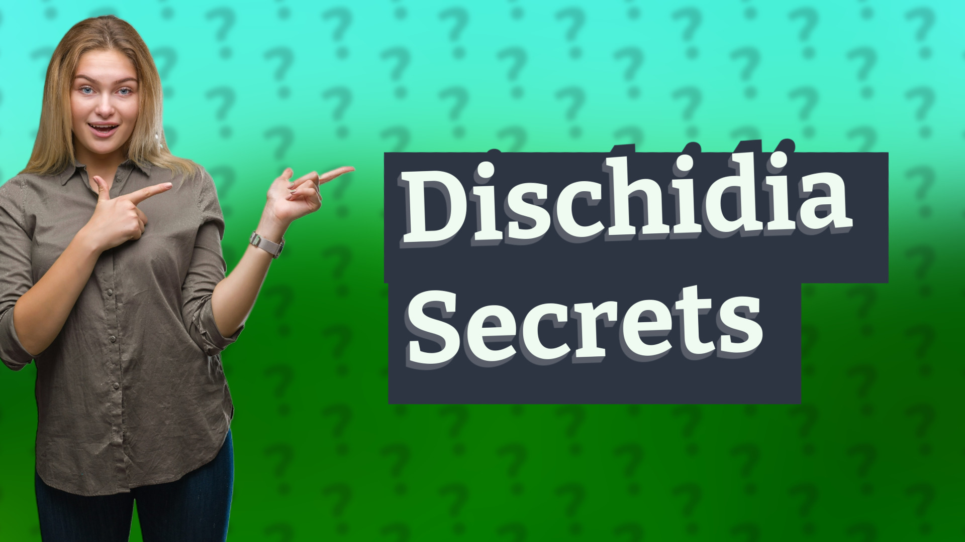 Dischidia Secrets