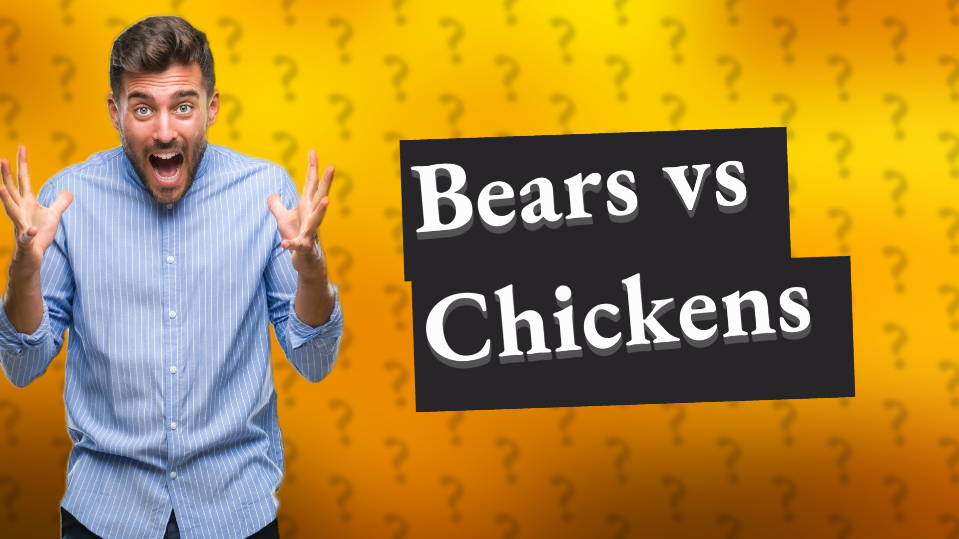 Bears vs Chickens