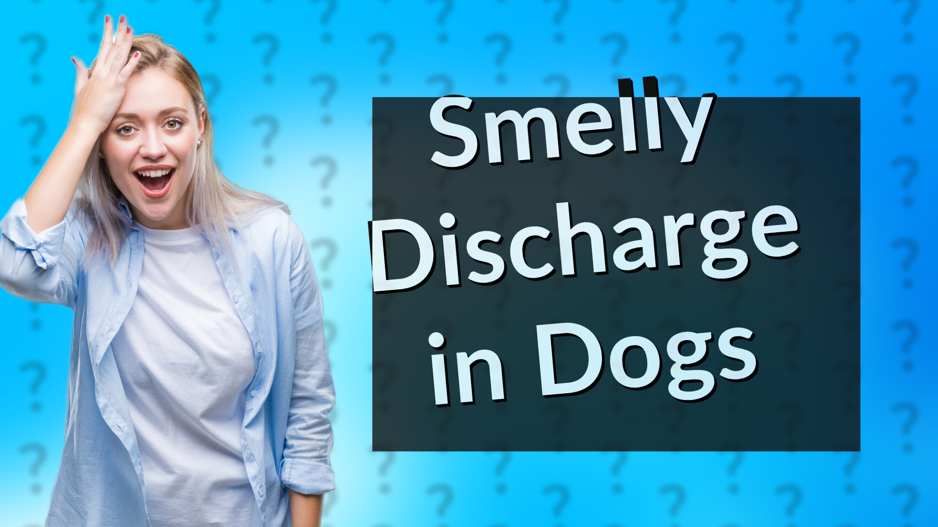 Smelly Discharge in Dogs