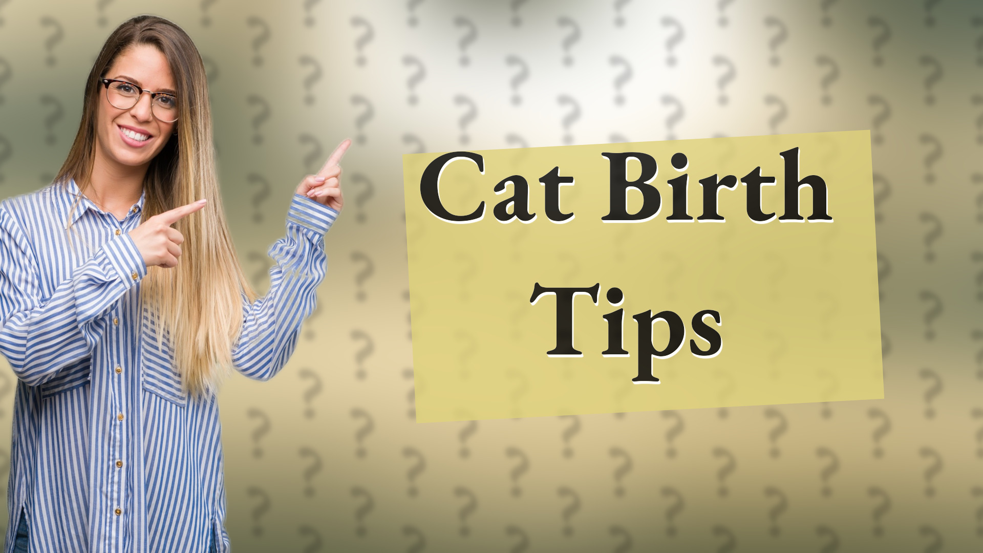 Cat Birth Tips