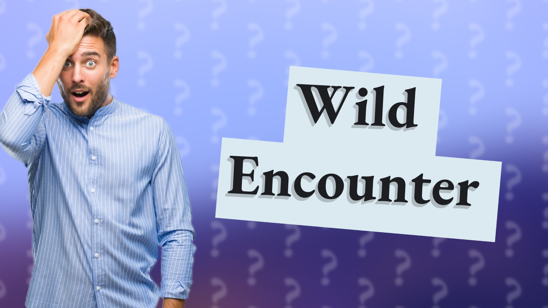 Wild Encounter