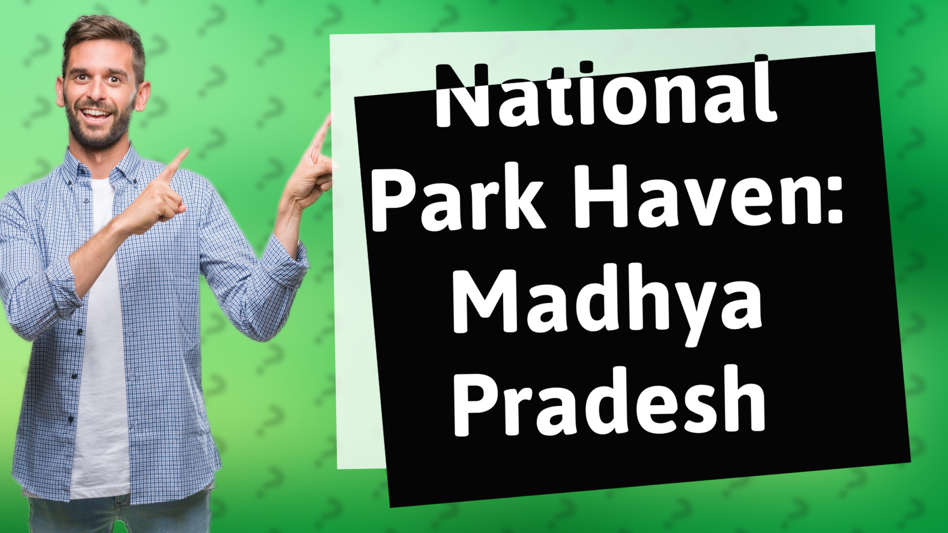 National Park Haven: Madhya Pradesh