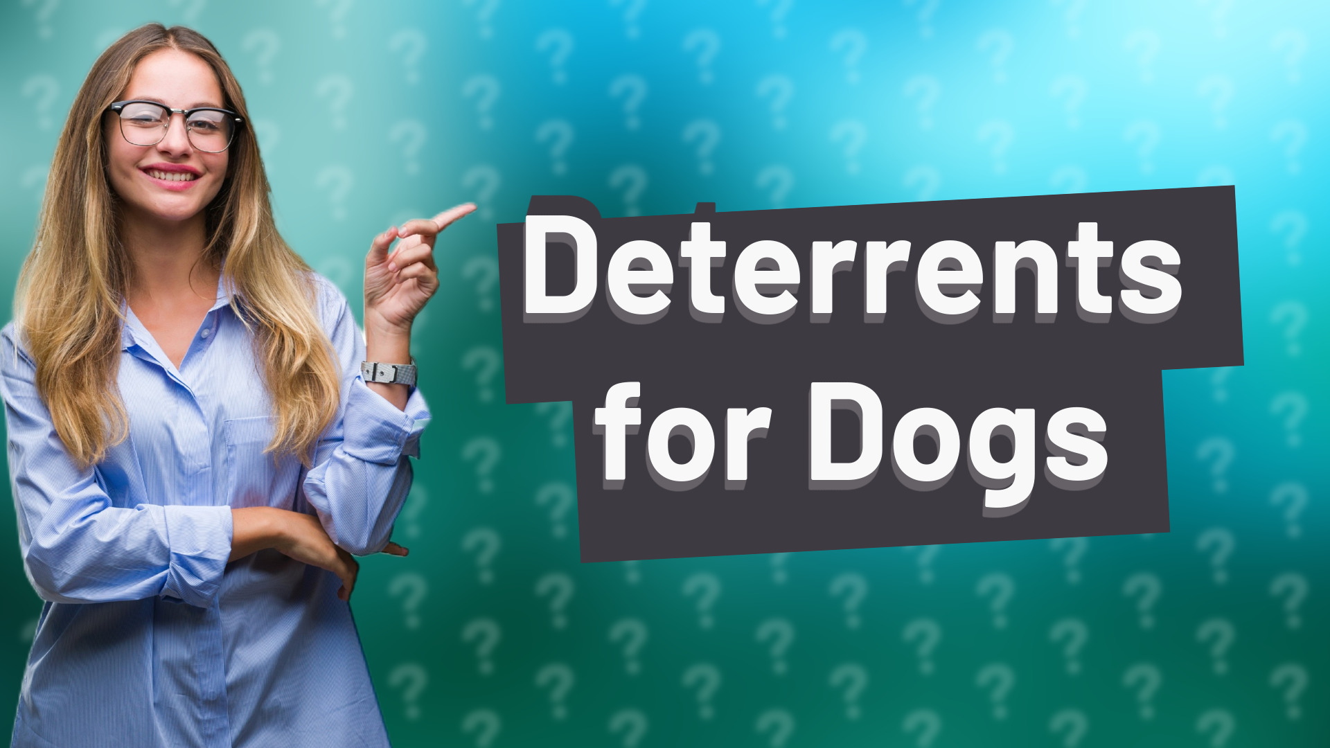 Deterrents for Dogs