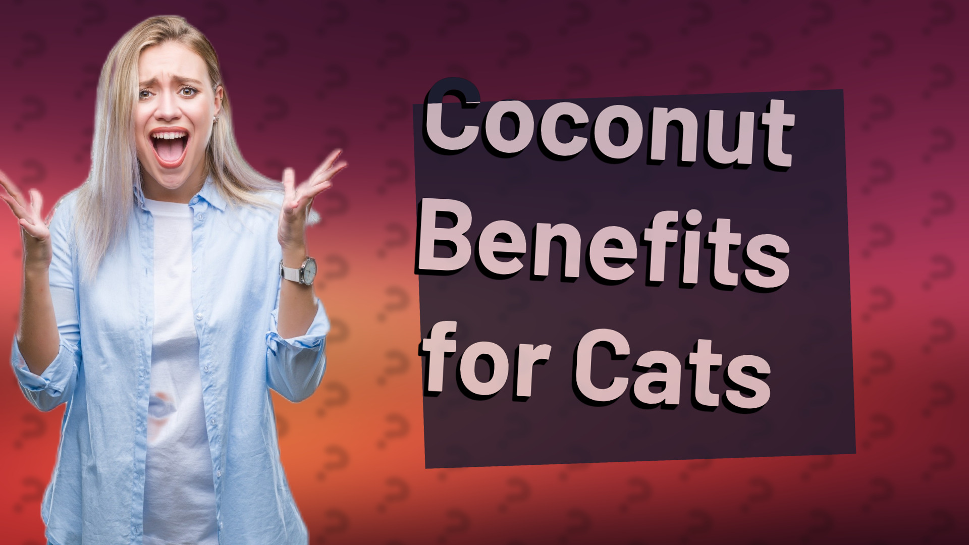 Coconut Benefits for Cats