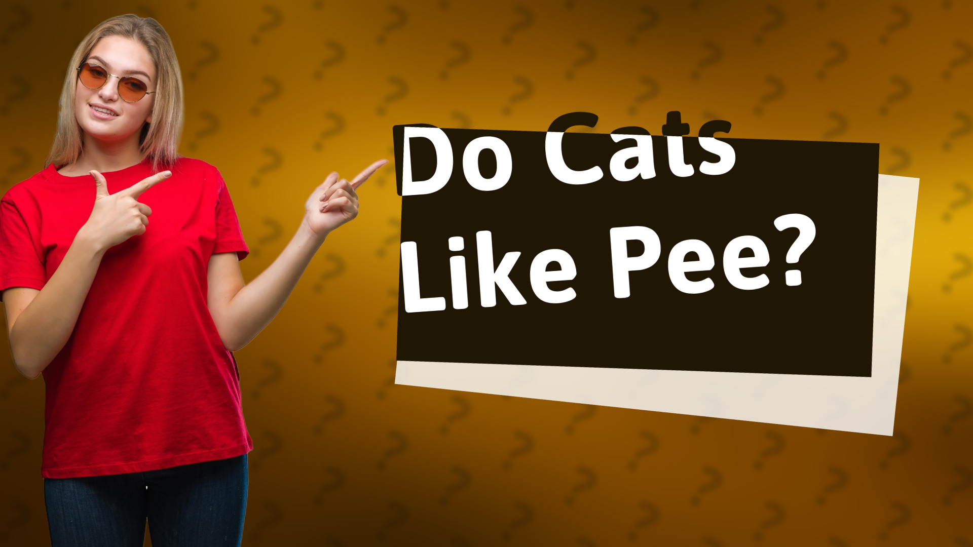 Do Cats Like Pee?