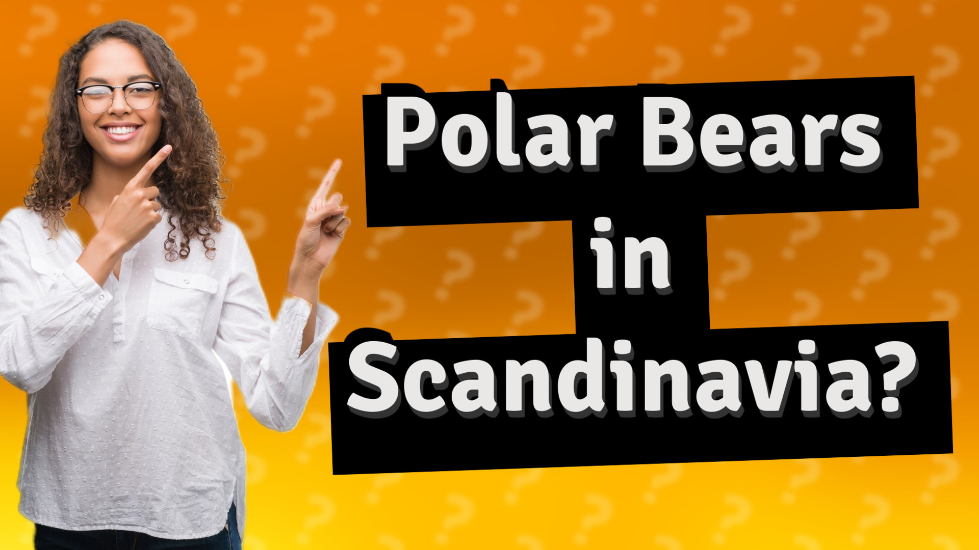 Polar Bears in Scandinavia?