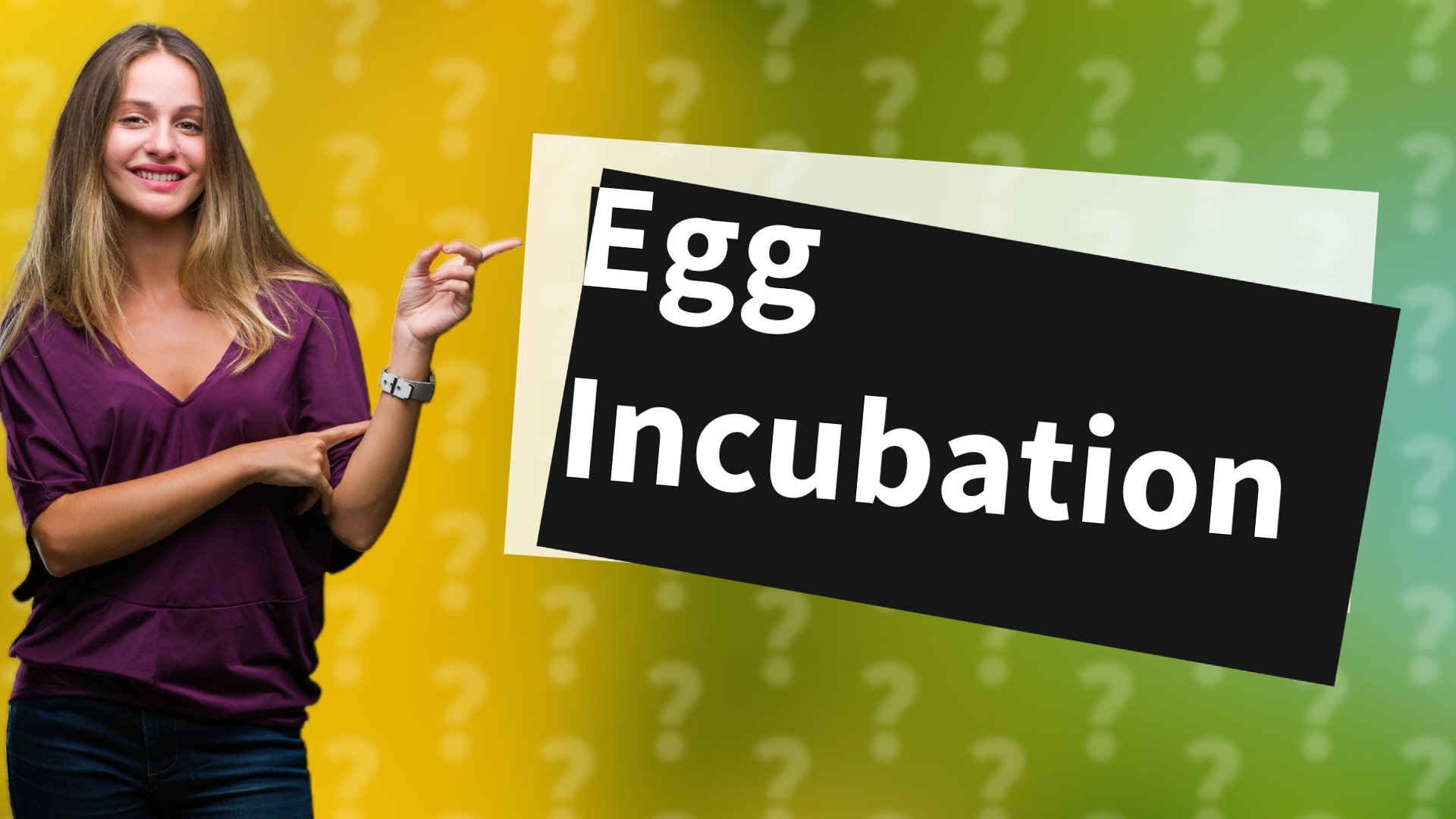 Egg Incubation