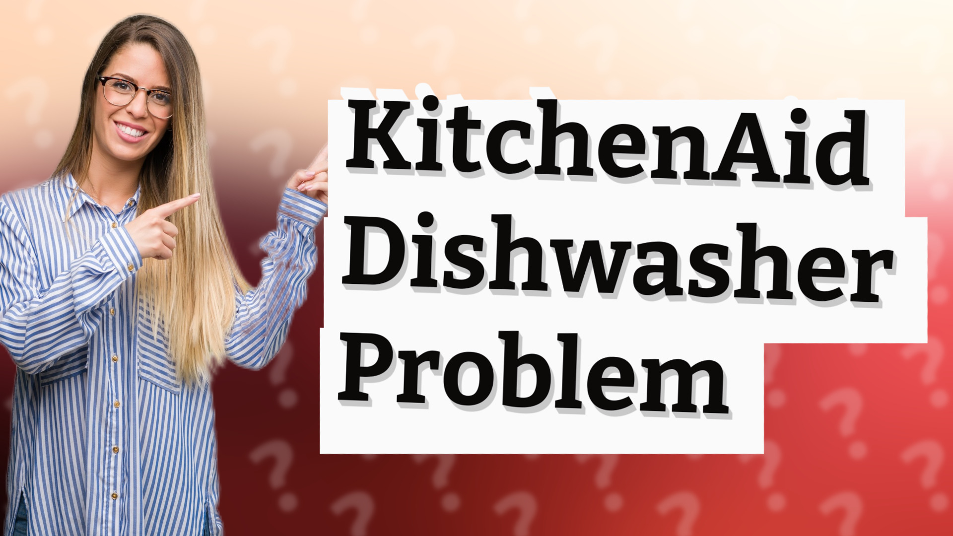 KitchenAid Dishwasher Problem