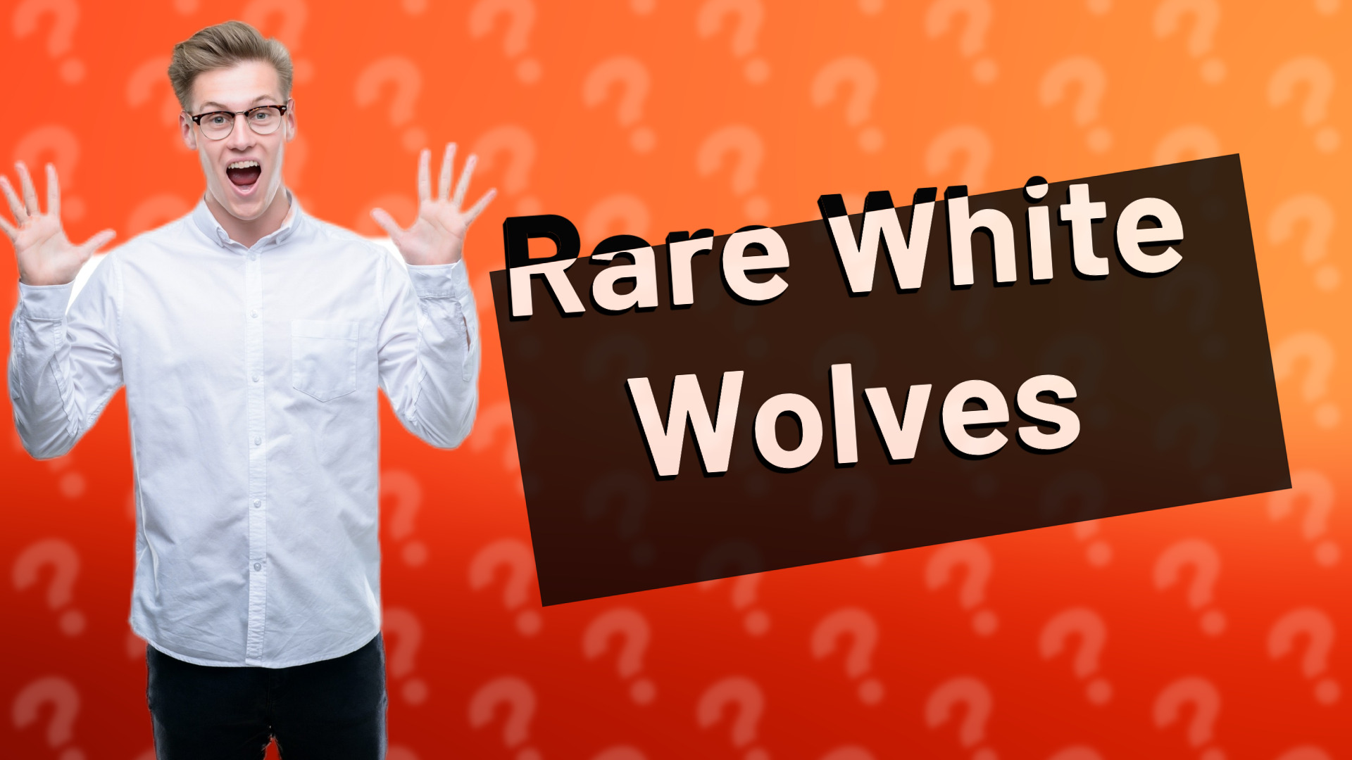 Rare White Wolves