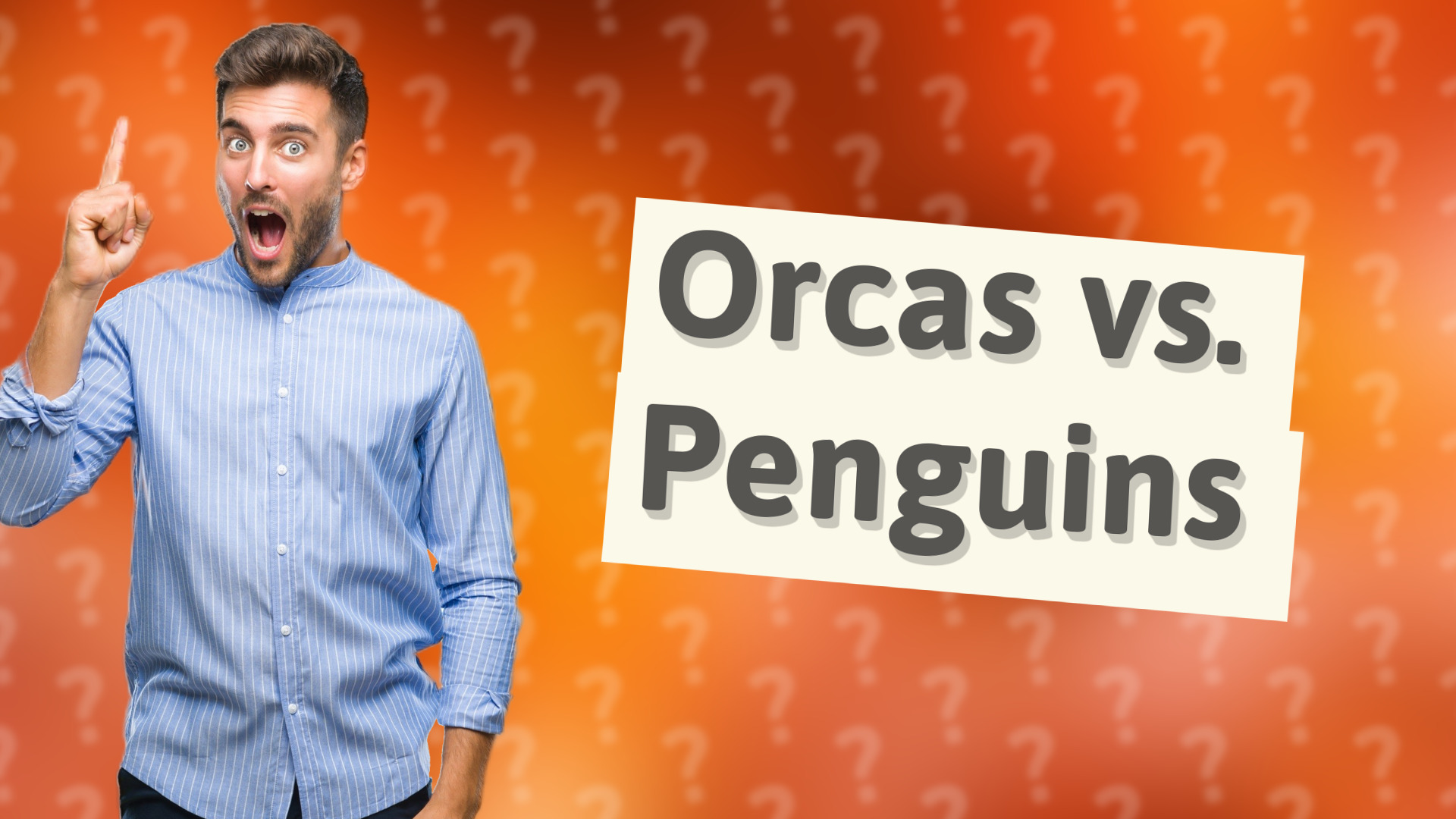 Orcas vs. Penguins