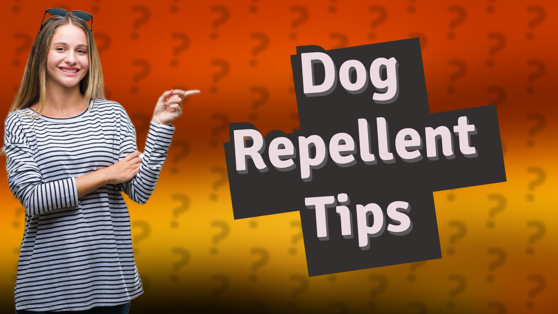 Dog Repellent Tips