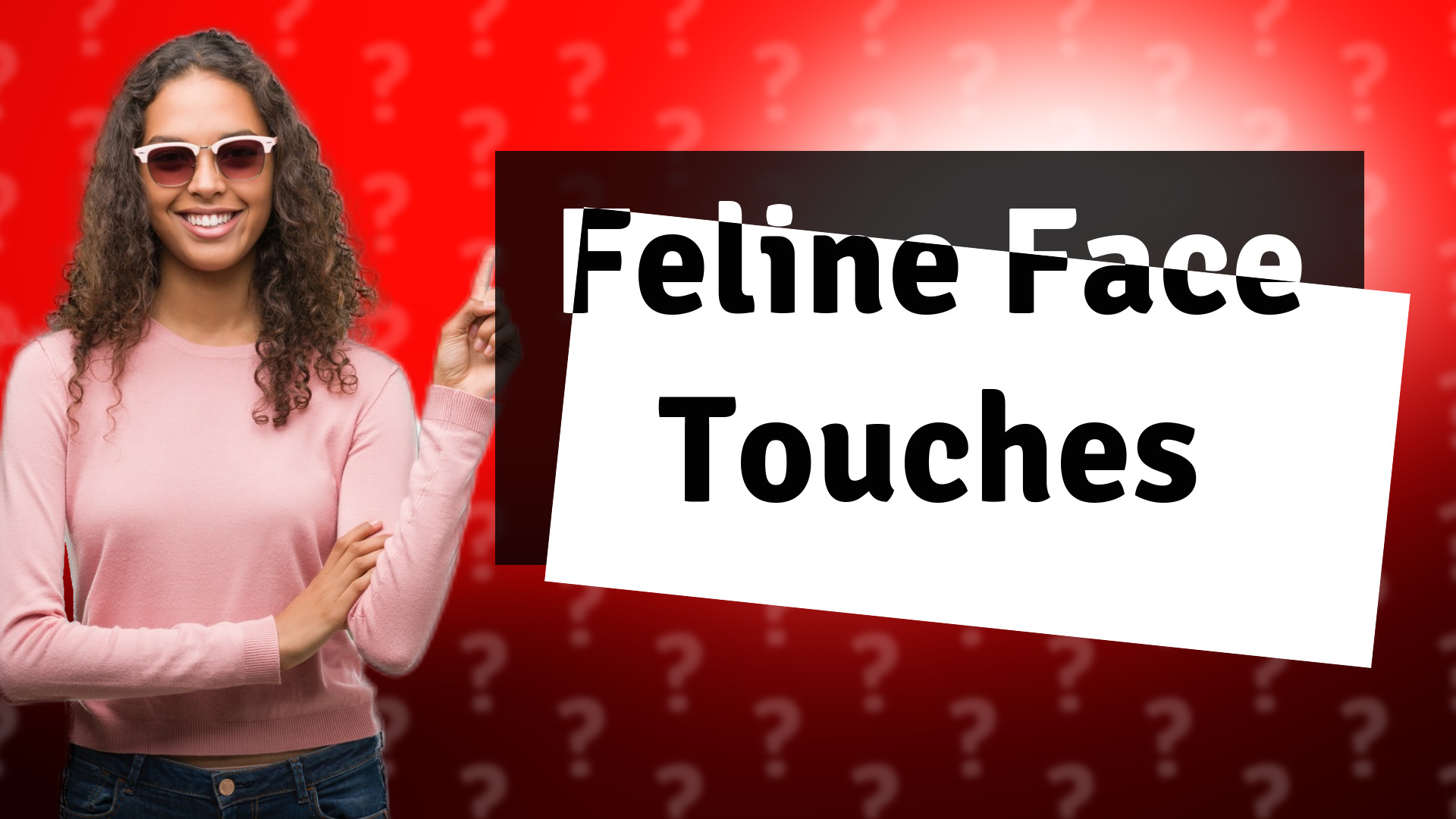 Feline Face Touches