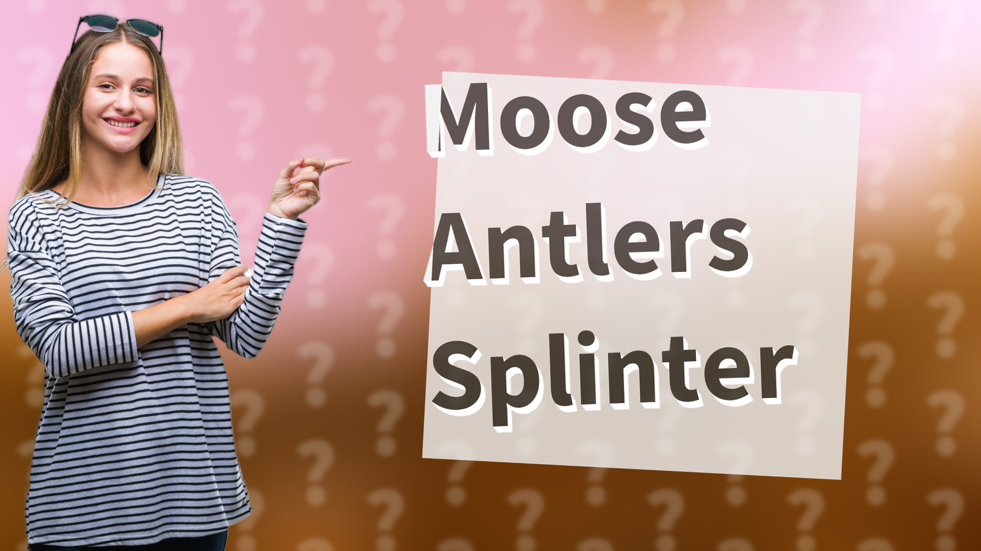 Moose Antlers Splinter