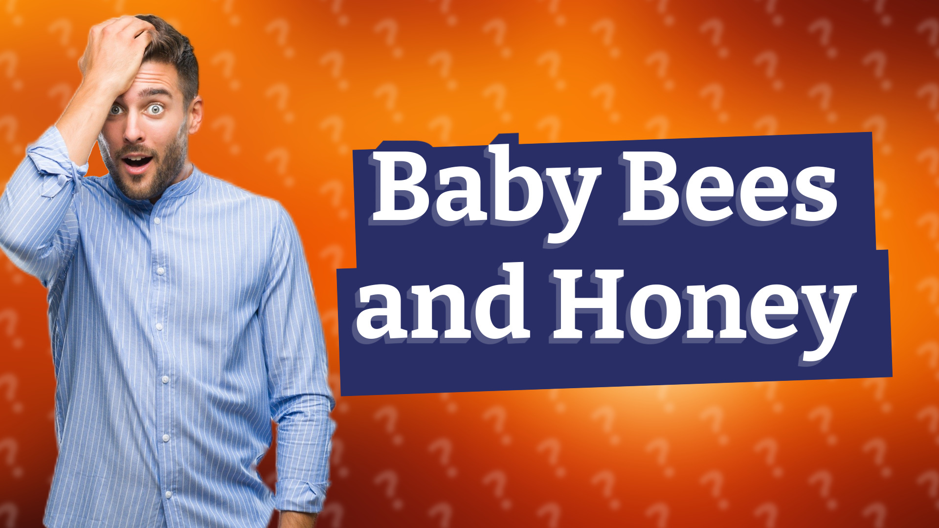Baby Bees and Honey