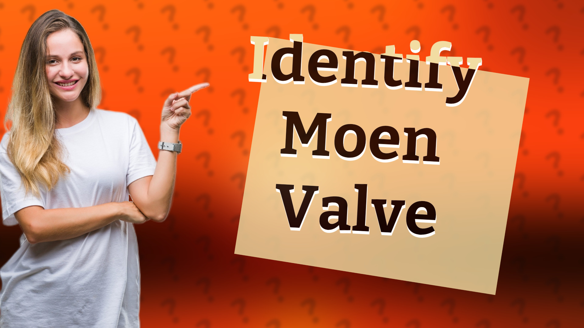 Identify Moen Valve