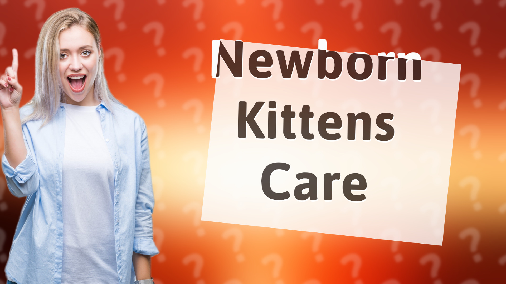 Newborn Kittens Care