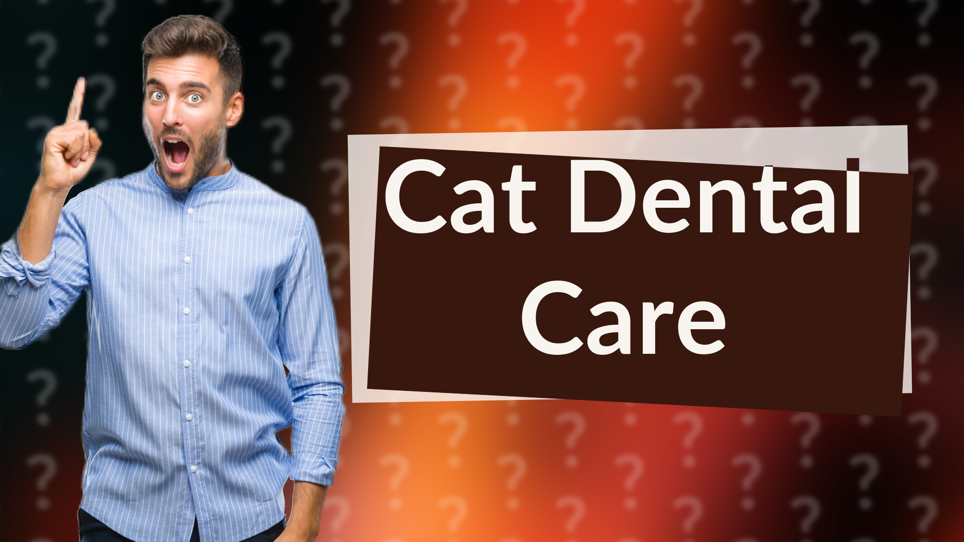 Cat Dental Care