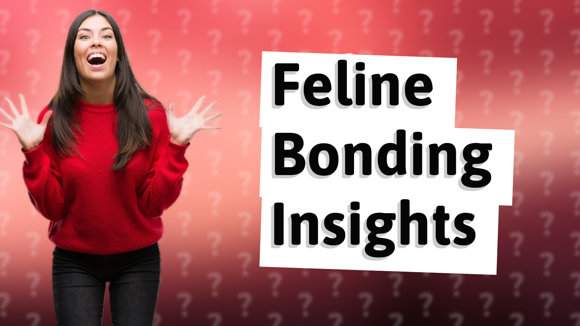 Feline Bonding Insights