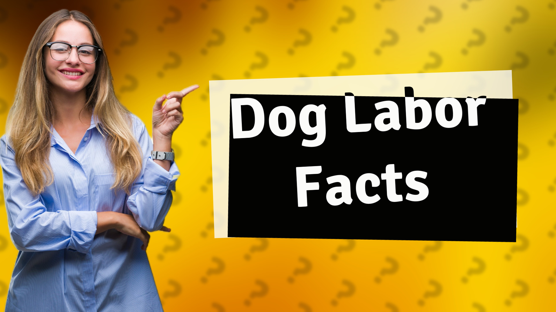 Dog Labor Facts