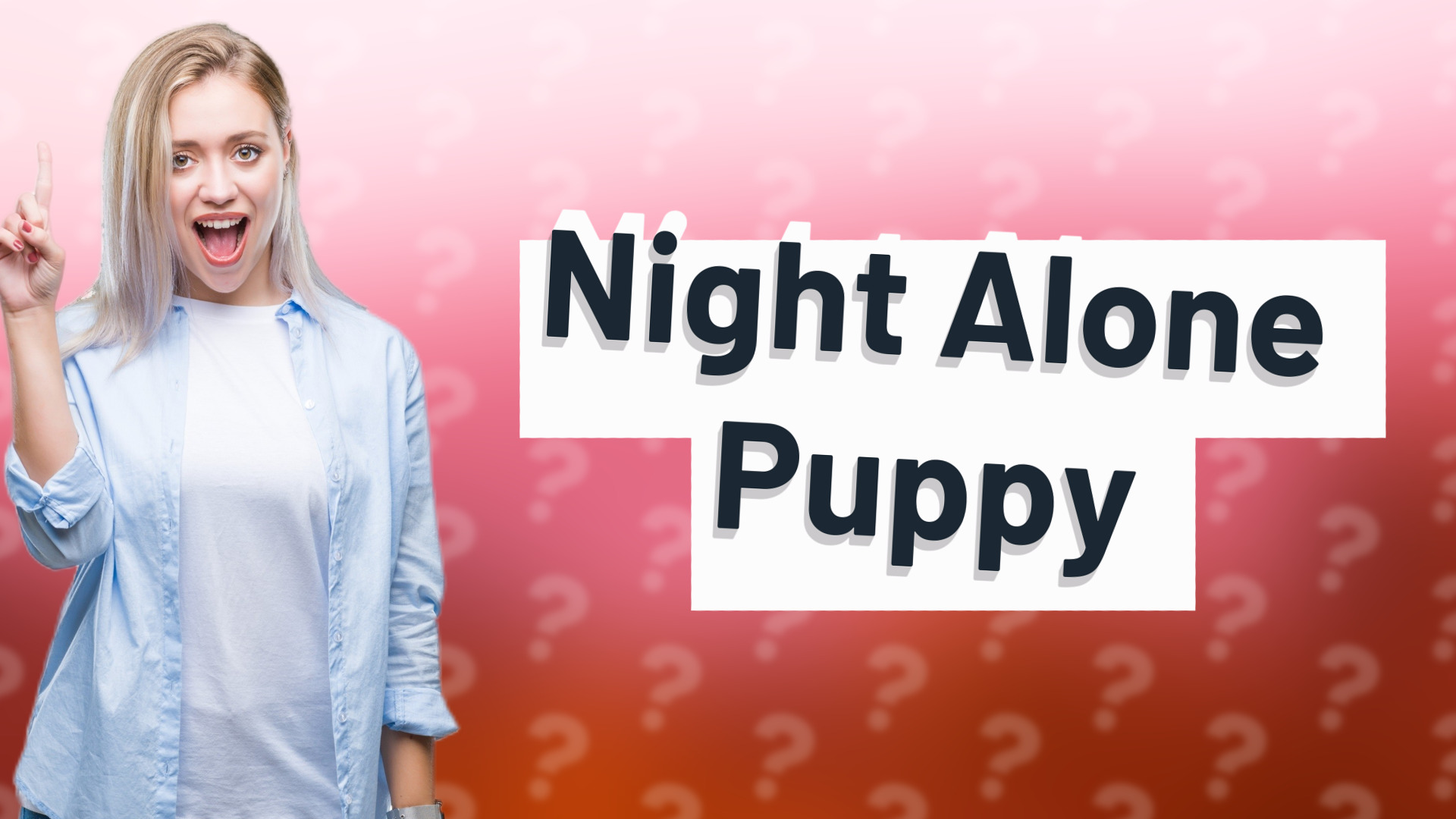 Night Alone Puppy