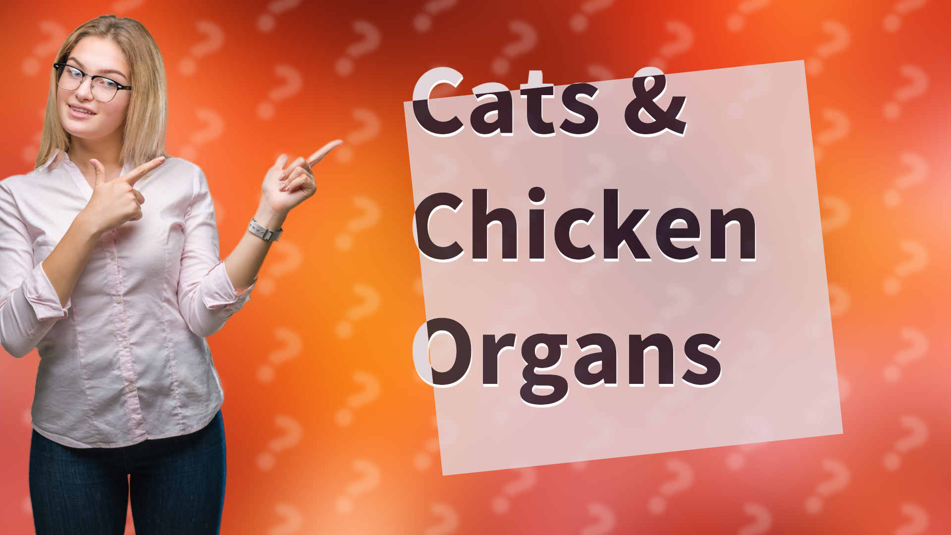 Cats & Chicken Organs