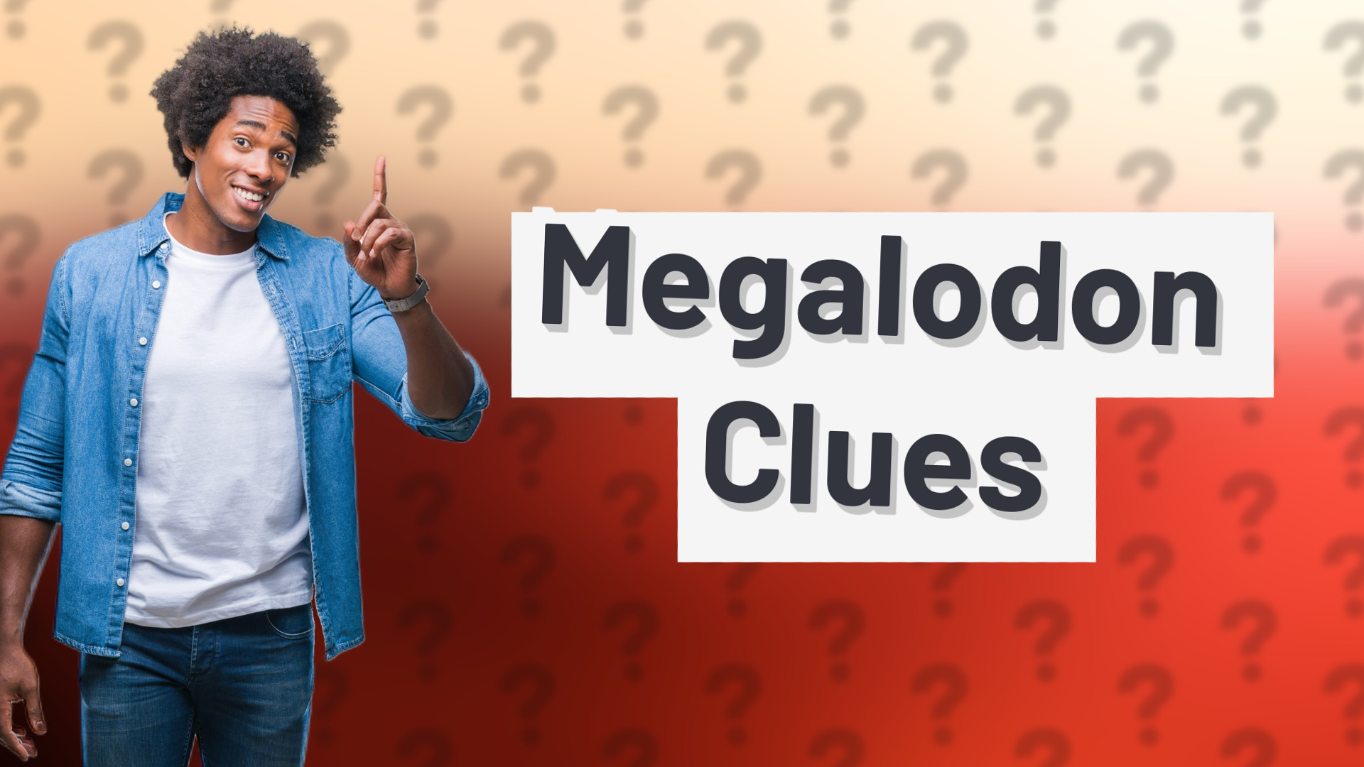 Megalodon Clues