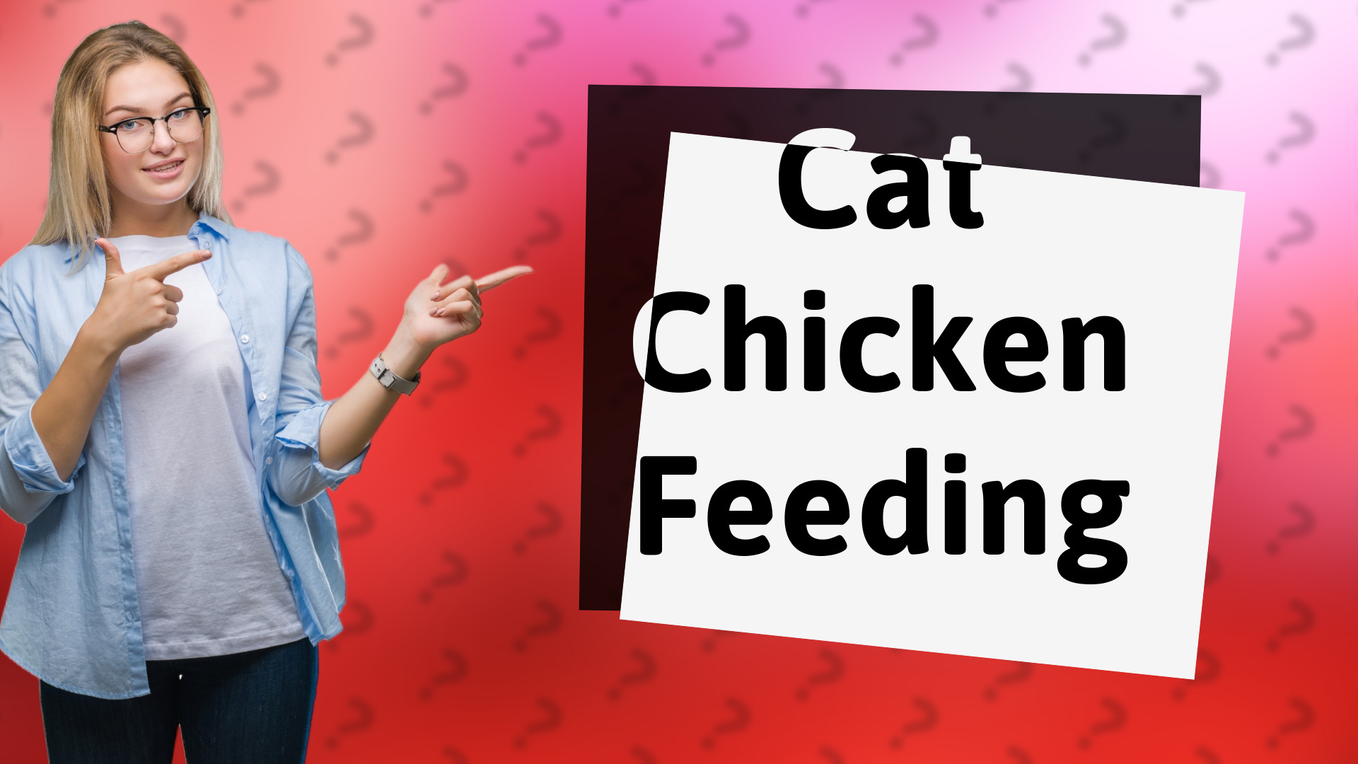 Cat Chicken Feeding